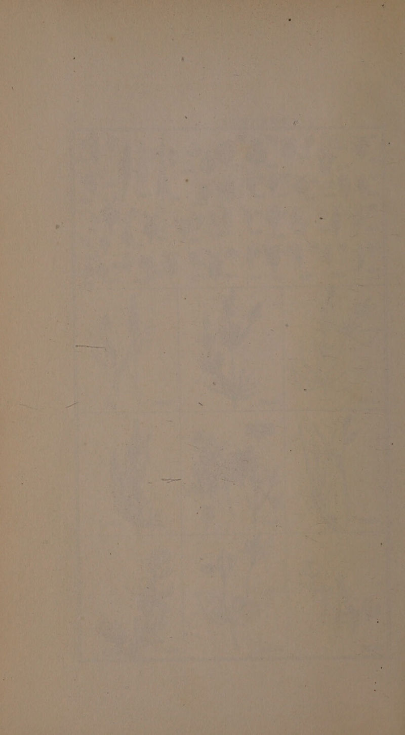 ft ; ry x nies he ae hat i NES Out wee tis,