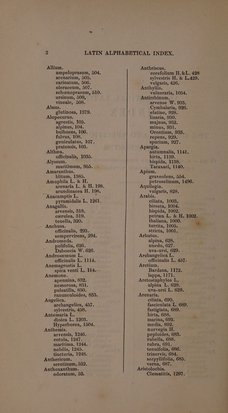 ampeloprasum, 504. arenarium, 505. earinatum, 506. oleraceum, 507. schcenoprasum, 510. ursinum, 509, vineale, 508. Alnus. glutinosa, 1379. Alopecurus. agrestis, 105. alpinus, 104. bulbosus, 106. fulvus, 108. geniculatus, 107. pratensis, 103. Altheea. officinalis, 1035. Alyssum. maritimum, 955. Amaranthus. blitum, 1385. Amophila L. &amp; H. arundinacea H. 198. Anacamptis L. : pyramidalis L. 1261. Anagallis. arvensis, 318. ceerulea, 319. tenella, 320. Anchusa. officinalis, 293. sempervirens, 294. Andromeda. polifolia, 626. Daboecia W. 626. Androsemum L. officinalis L. 1114. Anemagrostis L. spica venti L. H4. Anemone. apennina, 832. nemorosa, 83. pulsatilla, 830. ranunculoides, 833. Angelica. archangelica, 457. sylvestris, 458. Antemaria L. dioica L. 1203. Hyperborea, 1504. Anthemis. arvensis, 1246. cotula, 1247. maritima, 1244. nobilis, 1245. tinctoria, 1248. Anthericum. serotinum, 522. Anthoxanthum. odoratum, 52. cerefolium H.&amp;L, 428 sylvestris H. &amp; L.429. vulgaris, 426. Anthyllis. vulneraria, 1054. Antirrhinum. arvense W. 933. Cymbalaria, 926. elatine, 928. linaria, 930. majnus, 932. minus, 931]. Orontium, 933. repens, 929. spurium, 927. Apargia. autumnalis, 1141. hirta, 1139. hispida, 1138. Taraxaci, 1140. Apium. graveolens, 554. petroselinum, 1496. Aquilegia. vulgaris, 828. Arabis. ciliata, 1003. hirsuta, 1004. hispida, 1002. petrea L. &amp; H. 1002. thaliana, 1000. * turrita, 1005. stricta, 1001. Arbutus. alpina, 628. unedo, 627. uva-ursi, 629. Archangelica L. officinalis L. 457. Arctium. ; Bardana, 1172. lappa, 1171. Arctostaphylos L. alpina L. 628. uva-ursi L. 629. Arenaria. ciliata, 690. fasciculata L. 689. fastigiata, 689. hirta, 688. marina, 692. media, 892. norvegia H. peploides, 683. rubella, 688. rubra, 691. tenuifolia, 686. trinervis, 684. serpyllifolia, 685. verna, 687. Aristolochia. Clematitis, 1297.