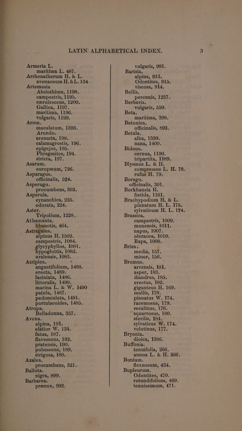 maritima L. 487. Arrhenatherum H. &amp; L. avenaceum H.&amp;L. 134 Artemesia Absinthium, 1198. campestris, 1195. cerulescens, 1200. Gallica, 1197. maritima, 1196. vulgaris, 1199. Arum. maculatum, 1393. Arundo. arenaria, 198. calamagrostis, 196. epigejos, 195. Phragmites, 194. stricta, 197. Asarum. europeum, 726. Asparagus. officinalis, 524. Asperugo. procumbens, 302. Asperula, cynanchica, 225. odorata, 224. Aster. | Tripolium, 1228. Athamanta. libanotis, 464. Astragalus. alpinus H. 1502. campestris, 1084. lycyphyllos, 1081. ypoglottis, 1082. uralensis, 1083. Atriplex. ; angustifolium, 1488. erecta, 1489. laciniata, 1486. littoralis, 1490. marina L. &amp; W. 1490 patula, 1487. pedunculata, 1491. portulacoides, 1485. Atropa. Belladonna, 357. Avena. alpina, 191. elatior W. 134. fatua, 187. flavescens, 192. pratensis, 190. pubescens, 189. strigosa, 188. Azalea. procumbens, 321]. Ballota. nigra, 899. Barbarea. Bartsia. alpina, 913. Odontites, 915. viscosa, 914, Bellis. perennis, 1237. Berberis. vulgaris, 559. Beta. maritima, 398. Betonica. officinalis, 893. Betula. alba, 1399. nana, 1400. Bidens. cernua, 1190. tripartita, 1189. Blysmus L. &amp; H. compressus L, H. 78. rufus H. 79. Borago. officinalis, 301. Borkhansia H. foetida, 1161. Brachypodium H. &amp; L. pinnatum H. L. 175. sylvaticum H. L. 174. Brassica. campestris, 1009. monensis, 1011. napus, 1007. oleracea, 1010. Rapa, 1008. Briza. media, 157. minor, 156. Bromus. arvensis, 181. asper, 183. diandrus, 185. erectus, 182. giganteus H. 169. mollis, 178. pinnatus W. 174. racemosus, 179. secalinus, 176. “squarrosus, 180. sterilis, 184. sylvaticus W. 174. velutinus, 177. Bryonia. dioica, 1386. Buffonia. tenuifolia, 266. annua L. &amp; H. 266. Bunium. flexuosum, 434. Bupleurum. Odontites, 470. rotundifolium, 469.