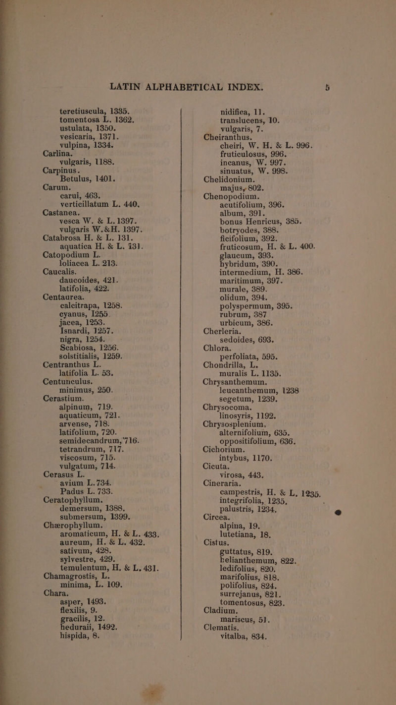 a a ee ee _ tomentosa L. 1362. vesicaria, 1371. vulpina, 1334. Carlina. vulgaris, 1188. Carpinus. Betulus, 1401. carui, 463. verticillatum L. 440, Castanea. vesca W. &amp; L. 1397. vulgaris W.&amp;H. 1397. Catabrosa H. &amp; L. 131. aquatica H. &amp; L. 13]. Catopodium L. loliacea L. 213. Caucalis. daucoides, 421. latifolia, 422. Centaurea. calcitrapa, 1258. cyanus, 1245. jacea, 1253. Isnardi, 1257. nigra, 1254. Scabiosa, 1256. solstitialis, 1259. Centranthus L. latifolia L. 53. Centunculus. minimus, 250. Cerastium. alpinum, 719. aquaticum, 721. arvense, 718. latifolium, 720. semidecandrum, 716. tetrandrum, 717. viscosum, 715. vulgatum, 714. Cerasus L. avium L.734. Padus L. 733. Ceratophyllum. demersum, 1388. submersum, 1399. Cherophyllum. aromaticum, H. &amp; L. 433, aureum, H. &amp; L. 482. sativum, 428. sylvestre, 429. temulentum, H, &amp; L. 43]. Chamagrostis, L minima, L. 109. Chara. asper, 1493. flexilis, 9. gracilis, 12. heduraii, 1492, hispida, 8. translucens, 10. Cheiranthus. cheiri, W. H. &amp; L. 996. fruticulosus, 996. incanus, W. 997. sinuatus, W. 998. Chelidonium. Chenopodium. acutifolium, 396. album, 391. bonus Henricus, 385. botryodes, 388. ficifolium, 392. fruticosum, H. &amp; L. 400. glaucum, 393. hybridum, 390. intermedium, H. 386. maritimum, 397. murale, 389. olidum, 394. polyspermum, 395. rubrum, 387 urbicum, 386. Cherleria. sedoides, 693. Chlora. perfoliata, 595. Chondrilla, L. muralis L. 1135. Chrysanthemum. leucanthemum, 1238 segetum, 1239. Chrysocoma. linosyris, 1192. Chrysosplenium, alternifolium, 635. oppositifolium, 636. Cichorium. intybus, 1170. Cicuta. virosa, 443. Cineraria. campestris, H. &amp; L, 1235, integrifolia, 1235, R palustris, 1234, Circea. alpina, 19. lutetiana, 18, Cistus. guttatus, 819. helianthemum, 822. ledifolius, 820. marifolius, 818. polifolius, 824. surrejanus, 821. tomentosus, 823. Cladium. mariscus, 5]. Clematis. vitalba, 834.