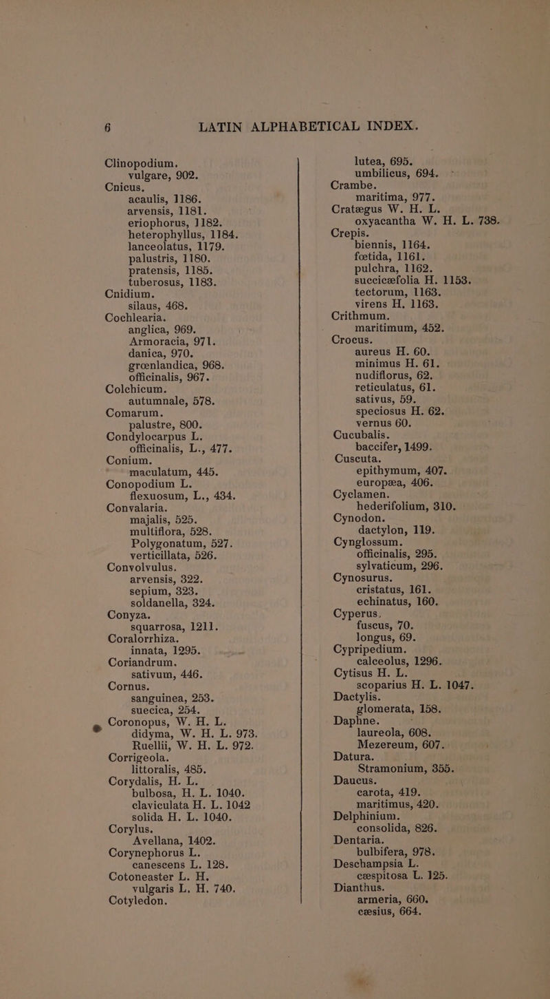 Clinopodium, vulgare, 902. Cnicus, acaulis, 1186. arvensis, 1181. eriophorus, 1182. heterophyllus, 1184. lanceolatus, 1179. palustris, 1180. pratensis, 1185. tuberosus, 1183. Cnidium. silaus, 468. Cochlearia. anglica, 969. Armoracia, 971. danica, 970. groenlandica, 968. officinalis, 967. Colchicum. autumnale, 578. Comarum. palustre, 800. Condylocarpus L. officinalis, L., 477. Conium. maculatum, 445. Conopodium L. flexuosum, L., 434. Convalaria. majalis, 525. multiflora, 528. Polygonatum, 527. verticillata, 526. Convolvulus. arvensis, 322. sepium, 323. soldanella, 324. Conyza. squarrosa, 1211. Coralorrhiza. innata, 1295. Coriandrum., sativum, 446. Cornus. sanguinea, 253. suecica, 254. Coronopus, W. H. L. didyma, W. H. L. 973. Ruellii, W. H. L. 972. Corrigeola. littoralis, 485. Corydalis, H. L. bulbosa, H. L. 1040. claviculata H. L. 1042 solida H. L. 1040. Corylus. Avellana, 1402. Corynephorus L. canescens L. 128. Cotoneaster L. H. vulgaris L, H. 740. Cotyledon. lutea, 695. umbilicus, 694. maritima, 977. oxyacantha W. H. L. 738. biennis, 1164. foetida, 1161. pulchra, 1162. succiceefolia H. 1153. tectorum, 1163. virens H. 1163. maritimum, 452. aureus H. 60. minimus H. 61. nudiflorus, 62, reticulatus, 61. sativus, 59. speciosus H. 62. vernus 60. baccifer, 1499. epithymum, 407. europea, 406. hederifolium, 310. » dactylon, 119. officinalis, 295. sylvaticum, 296. cristatus, 161. echinatus, 160. fuscus, 70. longus, 69. calceolus, 1296. scoparius H. L. 1047. glomerata, 158. laureola, 608. Mezereum, 607. - Stramonium, 355. carota, 419. maritimus, 420. consolida, 826. bulbifera, 978. ceespitosa L. 125. armeria, 660. ceesius, 664.