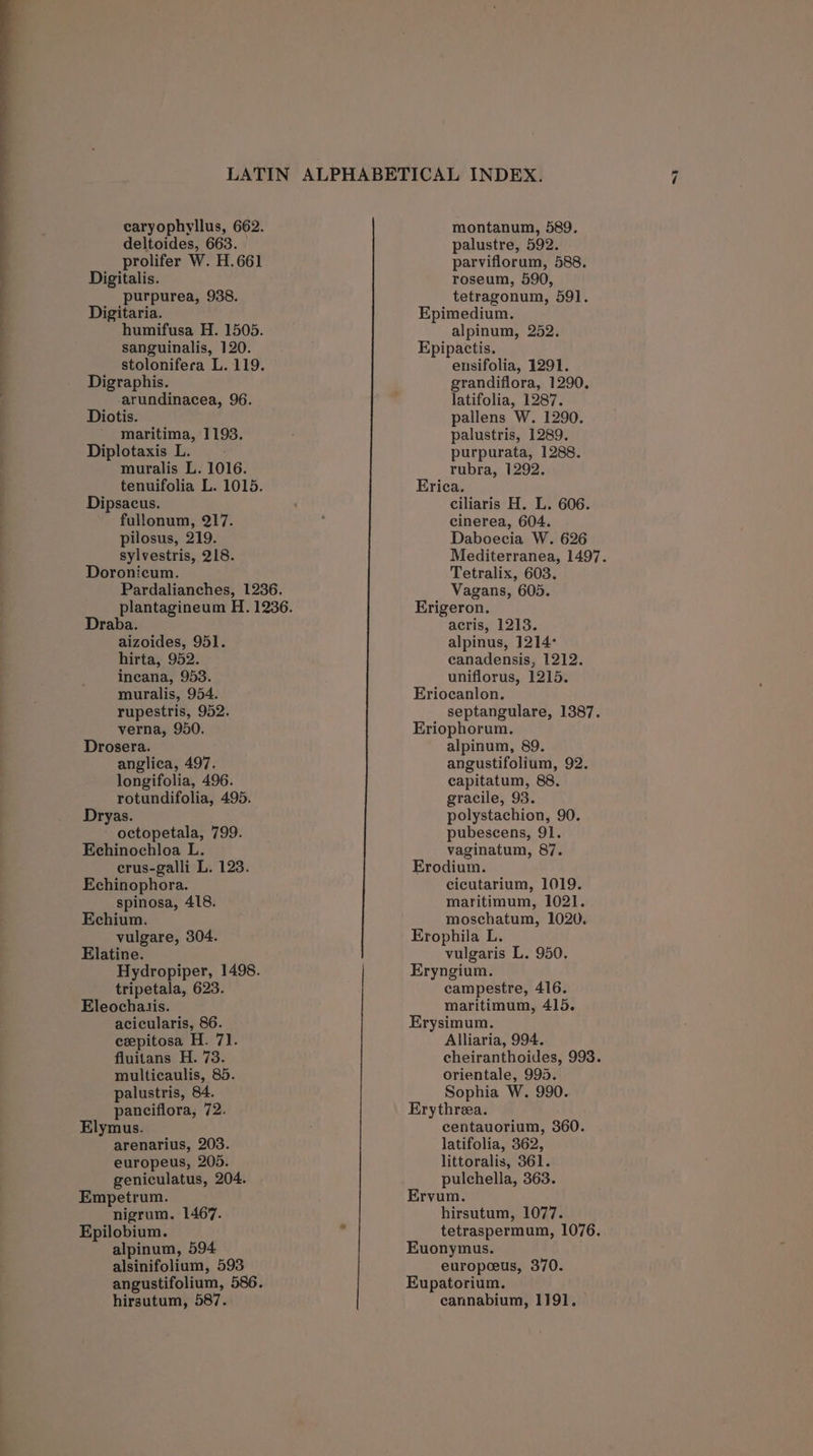 caryophyllus, 662. prolifer W. H.661 purpurea, 938. Digitaria. sanguinalis, 120. stolonifera L. 119. Diotis. tenuifolia L. 1015. Dipsacus. pilosus, 219. sylvestris, 218. Doronicum. Pardalianches, 1236. Draba. hirta, 952. incana, 953. muralis, 954. rupestris, 952. verna, 950. Drosera. anglica, 497. longifolia, 496. rotundifolia, 495. Dryas. octopetala, 799. Echinochloa L. crus-galli L. 123. Echinophora. spinosa, 418. Echium. vulgare, 304. Elatine. Hydropiper, 1498. tripetala, 623. Eleochaiis. acicularis, 86. cepitosa H. 71. fluitans H. 73. multicaulis, 85. palustris, 84. panciflora, 72. Elymus. europeus, 205. Empetrum. nigrum. 1467. Epilobium. alpinum, 594 alsinifolium, 593 angustifolium, 586. hirsutum, 587. montanum, 589. parviflorum, 588. tetragonum, 591. Epimedium. Epipactis. ensifolia, 1291. pallens W. 1290. Erica. ciliaris H. L. 606. Daboecia W. 626 Mediterranea, 1497. Tetralix, 603. Vagans, 605. Erigeron. acris, 1213. canadensis, 1212. uniflorus, 1215. Eriocanlon. septangulare, 1387. Eriophorum. alpinum, 89. angustifolium, 92. capitatum, 88. gracile, 93. polystachion, 90. pubescens, 91. vaginatum, 87. Erodium. cicutarium, 1019. maritimum, 1021. moschatum, 1020. Erophila L. vulgaris L. 950. Eryngium. campestre, 416. maritimum, 415. Erysimum. Alliaria, 994. cheiranthoides, 993. orientale, 995. Sophia W. 990. Erythreea. centauorium, 360. littoralis, 361. Ervum. hirsutum, 1077. tetraspermum, 1076. Euonymus. europceus, 370. Eupatorium. cannabium, 1191. “I