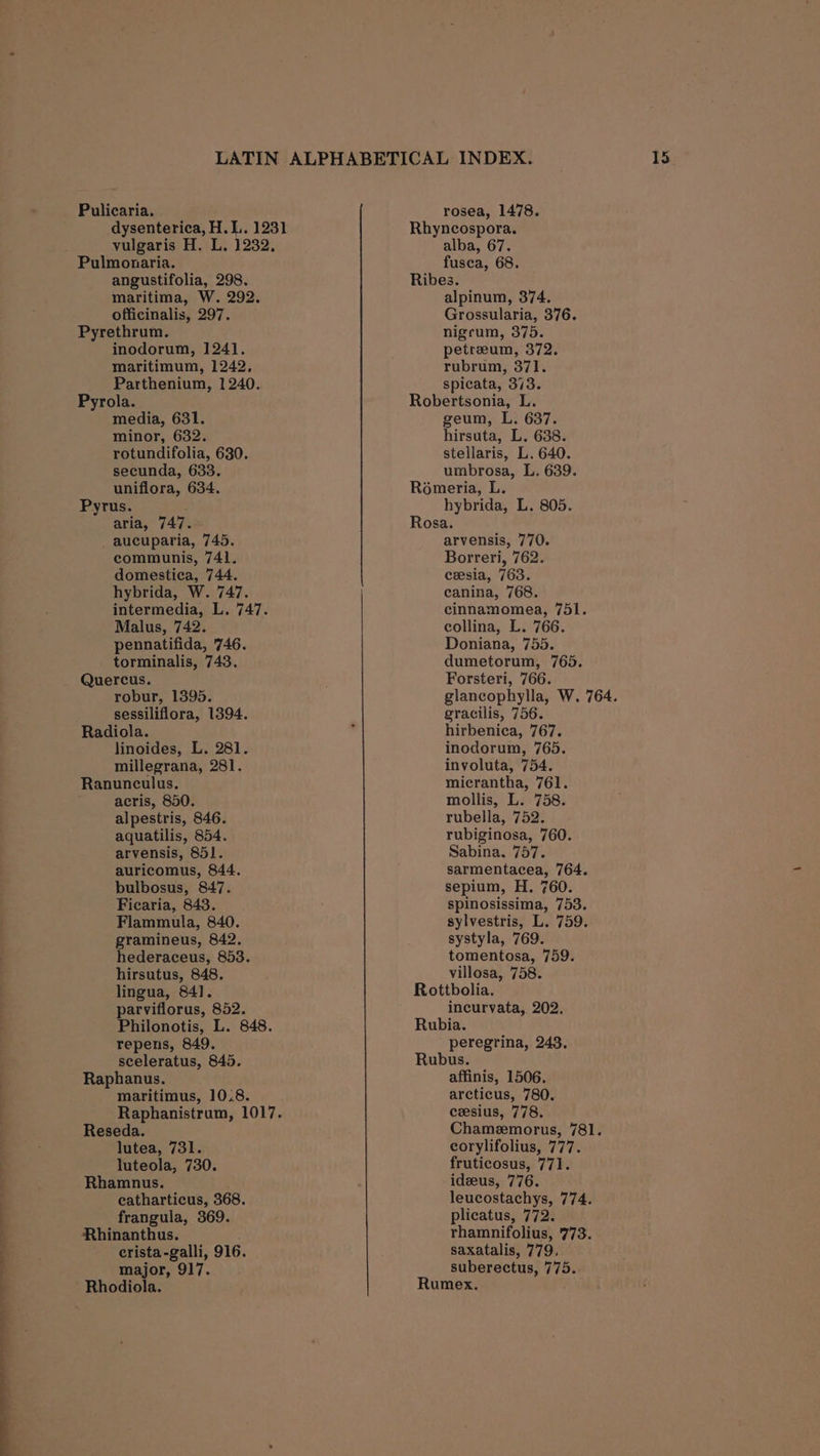 es Se ee CC dysenterica, H.L. 1231 Pulmonaria. maritima, W. 292. Pyrethrum. inodorum, 1241. Pyrola. rotundifolia, 630. aria, 740s aucuparia, 745. communis, 741. domestica, 744. hybrida, W. 747. intermedia, L. 747. Malus, 742. pennatifida, 746. torminalis, 743. Quercus. robur, 1395. sessiliflora, 1394. Radiola. linoides, L. 281. millegrana, 281. Ranunculus. acris, 850. alpestris, 846. aquatilis, 854. arvensis, 851. auricomus, 844. bulbosus, 847. Ficaria, 843. Flammula, 840. gramineus, 842. hederaceus, 853. hirsutus, 848. lingua, 84]. parviflorus, 852. Philonotis, L. 848. repens, 849. sceleratus, 845. Raphanus. maritimus, 10.8. Raphanistrum, 1017. Reseda. lutea, 731. luteola, 730. Rhamnus. catharticus, 368. frangula, 369. Rhinanthus. crista-galli, 916. major, 917. Rhodiola. Rhyncospora. fusea, 68. alpinum, 374. nigeum, 375. petreeum, 372. Robertsonia, L. stellaris, L. 640. Rosa. arvensis, 770. Borreri, 762. cesia, 763. canina, 768. cinnamomea, 751. collina, L. 766. Doniana, 755. dumetorum, 765. Forsteri, 766. glancophylla, W. 764. gracilis, 756. hirbenica, 767. inodorum, 765. involuta, 754. micrantha, 761. mollis, L. 758. rubella, 752. rubiginosa, 760. Sabina. 757. sarmentacea, 764. sepium, H. 760. spinosissima, 753. sylvestris, L. 759. systyla, 769. tomentosa, 759. villosa, 758. Rottbolia. incurvata, 202. Rubia. peregrina, 243, Rubus. affinis, 1506. arcticus, 780. cesius, 778. Chamemorus, 781. corylifolius, 777. fruticosus, 771. ideeus, 776. leucostachys, 774. plicatus, 772. rhamnifolius, '773. saxatalis, 779, suberectus, 775. Rumex.