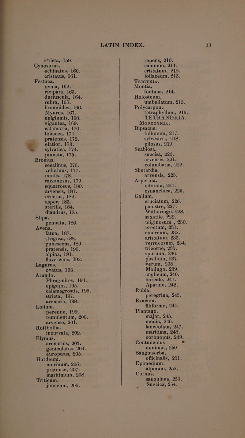 a a Cynosurus. vivipara, 163. duriuscula, 164, bromoides, 166, Myurus, 167. uniglumis, 168. gigantea, 169. calamaria, 170. loliacea, 171. , pratensis, 172. = elatior, 173. sylvatica, 174. pinnata, 175. Bromus. secalinus, 176. velutinus, 177. mollis, 178. racemosus, 179. squarrosus, 180. arvensis, 181, erectus, 182. asper, 183. sterilis, 184. diandrus, 185. Stipa. pennata, 186. Avena. fatua, 187. strigosa, 188. pubescens, 189. pratensis, 190. alpina, 191. flavescens, 192, Lagurus. ovatus, 193. Arundo. Phragmites, 194. epigejos, 195. calamagrostis, 196. stricta, 197. arenaria, 198. ‘Lolium. perenne, 199. temulentum, 200. arvense, 201. Rottbollia. incurvata, 202. Elymus. arenarius, 203. geniculatus, 204. europeeus, 205. Hordeum. murinum, 206. pratense, 207. maritimum, 208. Triticum, junceum, 209, caninum, 211. fontana, 214. Holosteum. Polycarpon. tetraphyllum, 216. TETRANDRIA. Monoeynia. Dipsacus. fullonum, 217. sylvestris, 218. pilosus, 219. Scabiosa. succisa, 220. arvensis, 221. columbaria, 222. Sherardia. arvensis, 223. Asperula. odorata, 224. cynanchica, 225. Galium. cruciatum, 226. palustre, 227. Witheringii, 228. saxatile, 229. uliginosum , 230. erectum, 231. cinereum, 232. aristatum, 233. verrucosum, 234. tricorne, 235. spurium, 236. pusillum, 237. verum, 238. Mollugo, 239. anglicum, 240. boreale, 241. Aparine, 242. Rubia. peregrina, 243. Exacum. filiforme, 244. Plantago. major, 245. media, 246. lanceolata, 247. maritima, 248. coronopus, 249. Centunculus. e minimus, 250. Sanguisorba. officinalis, 251. Epimedium. alpinum, 252. Cornus. sanguinea, 253, Suecica, 254,