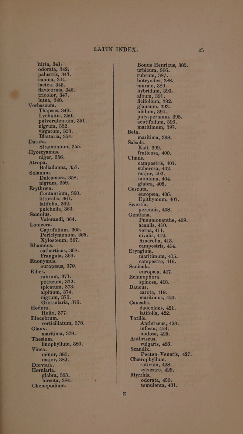 odorata, 342; palustris, 343. canina, 344. lactea, 345. flavicornis, 346. tricolor, 347. lutea, 348. Verbascum. Thapsus, 349. Lychnitis, 350. nigrum, 352. virgatum, 353. Blattaria, 354. Datura. Stramonium, 355. niger, 356. Atropa. Belladonna, 357. Solanum. Duleamara, 358. nigrum, 359. Erythreea. Centaurium, 360. littoralis, 361. latifolia, 362. pulchella, 363. Samolus. Valerandi, 364. Lonicera. Caprifolium, 365. Xylosteum, 367. Rhamnus. catharticus, 368. Frangula, 369. Euonymus. europeus, 370. Ribes. rubrum, 371. petreum, 372. spicatum, 373. alpinum, 374. nigrum, 375. Grossularia, 376. Hedera. Helix, 377. Illecebrum. verticillatum, 378. Glaux. maritima, 379. Thesium. linophyllum, 380. Vinca. minor, 381. major, 382. Dieynia. Herniaria. glabra, 383. hirsuta, 384. urbicum, 386. rubrum, 387. botryodes, 388. murale, 389. hybridum, 390. album, 391. ficifolium, 392. glaucum, 393. olidum, 394. polyspermum, 395. acutifolium, 396. maritimum, 397. Beta. maritima, 398. Salsola. Kali, 399. fruticosa, 400. Ulmus. campestris, 401. suberosa, 402. major, 403. montana, 404. glabra, 405. Cuscuta. europea, 406. Epithymum, 407. Swertia. perennis, 408. Gentiana. Pneumonanthe, 409. acaulis, 410. verna, 411. nivalis, 412. Amarella, 413. campestris, 414. Eryngium. maritimum, 415. campestre, 416. Sanicula. europea, 417. Echinophora. spinosa, 418. Daucus. carota, 419. maritimus, 420. Caucalis. daucoides, 421. latifolia, 422. Torilis. Anthriscus, 423. infesta, 424. nodosa, 425. Anthriscus. vulgaris, 426. Scandix. Pecten-Veneris, 427. Cherophyllum. sativum, 428. sylvestre, 429. Myrrhis. odorata, 430.