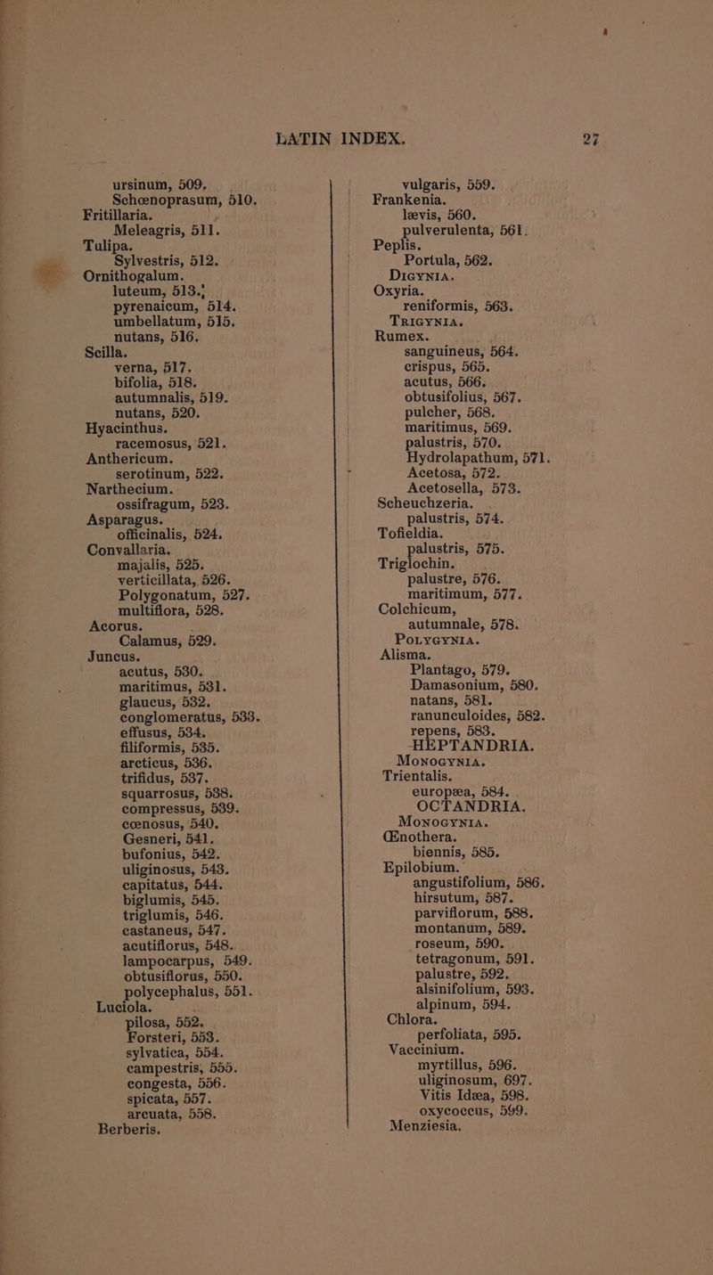 Tulipa. Ornithogalum. pyrenaicum, 514. nutans, 516. bifolia, 518. nutans, 520. racemosus, 521. Anthericum. ossifragum, 523. officinalis, 524. majalis, 525. verticillata, 526. Polygonatum, 527. multiflora, 528. Acorus. : Calamus, 529. Juncus. acutus, 530. conglomeratus, 538. effusus, 534. filiformis, 535. arcticus, 536. trifidus, 537. squarrosus, 538. compressus, 539. coenosus, 540. Gesneri, 541. bufonius, 542. uliginosus, 543. capitatus, 544. biglumis, 545. triglumis, 546. castaneus, 547. acutiflorus, 548. lampocarpus, 549. obtusiflorus, 550. polycephalus, 551. Luciola. pilosa, 552. sylvatica, 554. campestris, 555. congesta, 556. spicata, 557. arcuata, 558. Berberis. Frankenia. Peplis. Dieynia. reniformis, 563. Rumex. acutus, 566. pulcher, 568. palustris, 570. Scheuchzeria. Tofieldia. Triglochin. palustre, 576. maritimum, 577. Colchicum, autumnale, 578. PoLyGynIA. Alisma. Plantago, 579. ranunculoides, 582. repens, 583. -HEPTANDRIA. Mownoeynlia. Trientalis. europea, 584. OCTANDRIA. Monoeynlia. (Enothera. biennis, 585. Epilobium. angustifolium, 586, hirsutum, 587. parviflorum, 588. montanum, 589. roseum, 590. tetragonum, 591. palustre, 592, alsinifolium, 593. alpinum, 594. Chlora. Vaccinium. myrtillus, 596. uliginosum, 697. Vitis Idea, 598. oxycoccus, 599. Menziesia.