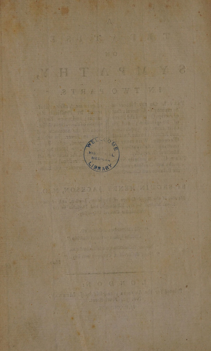 Bed. flay ! sed Ms sen . v sagt acne aa Bs pind Lge 5 a hi 4 ee ee sane Li AE OTS HG HOMO Oy ie ary WER te Wt @ St Lies 72 5 ae -. te 9 ok et ay)