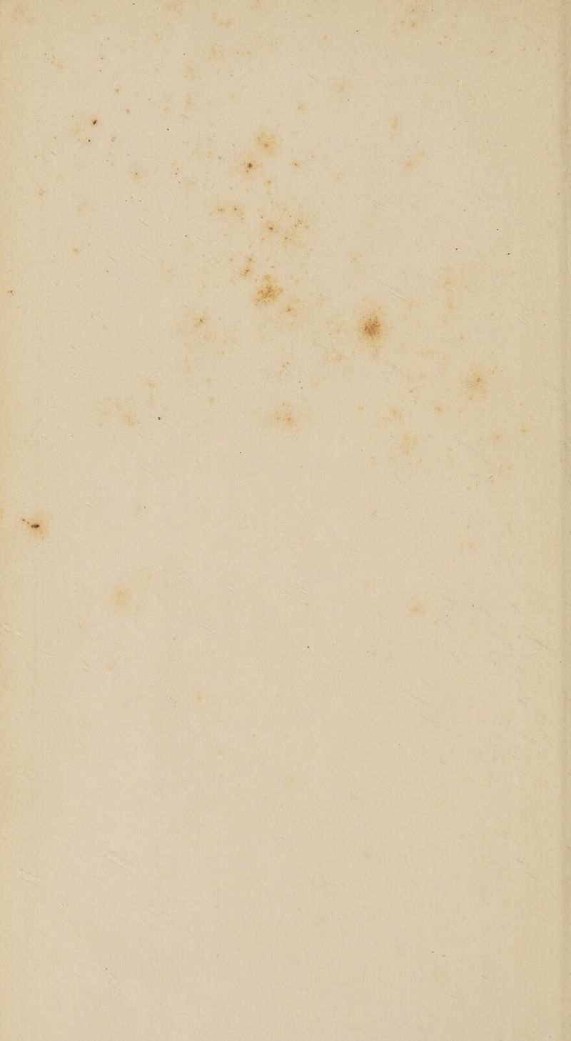 , ee ee aap ta - grt Sat it ; ‘ pRIN u [ee fi . ) ‘ *. ns. * , » tiie eh tte a 1 Meena ay Pema ies nol } baat he \ en j 1 ta) re } mt Ot | i ih | ' | Le \ i 3  thee ; my ht rt ros i } ’ ies ; ee i i + er ‘on ane) uw 51 3 3 iat r  ; ao I ‘ A f 3