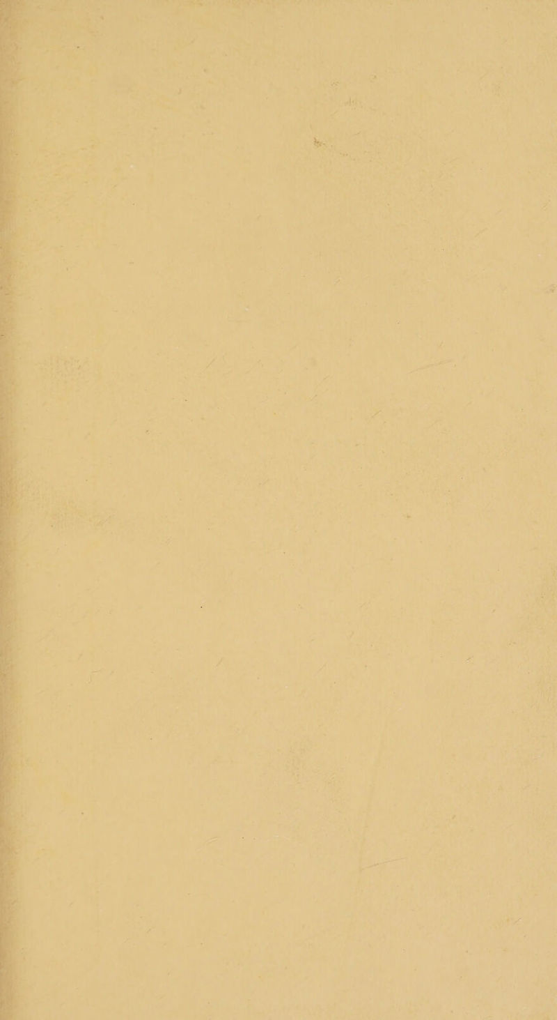 1s oa ae we \ ‘% c _ ay *. ; ? e A \ « ie 4 4 of ¢ &gt; } a ~ - , ‘ om 4, a ig ' a ‘ ay ahs P 5) he &lt; in wae &gt; y t bar