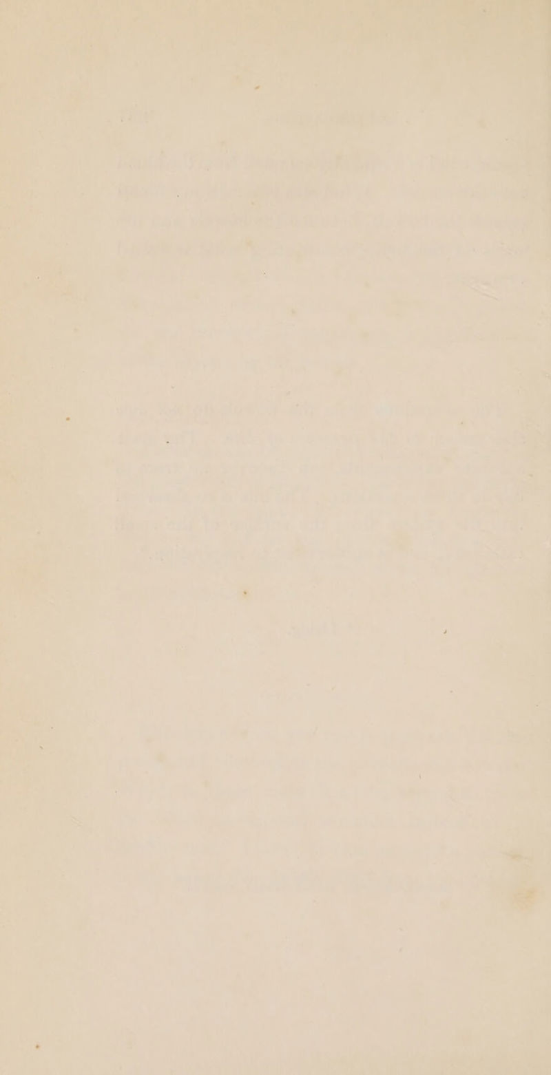 i ve fy ah eee : © &gt; z