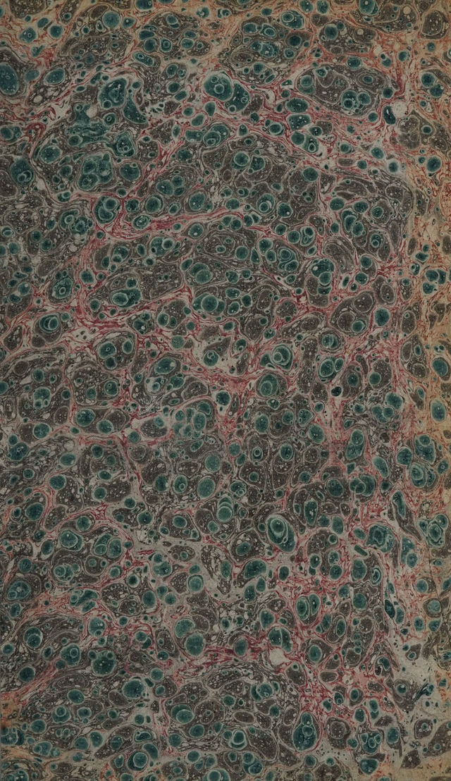 No text description is available for this image