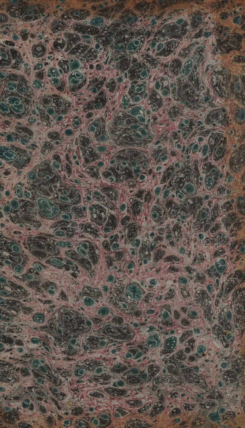 No text description is available for this image