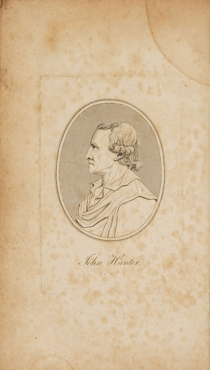 Ss i ae RRO Vas Tel © | * li Sn net