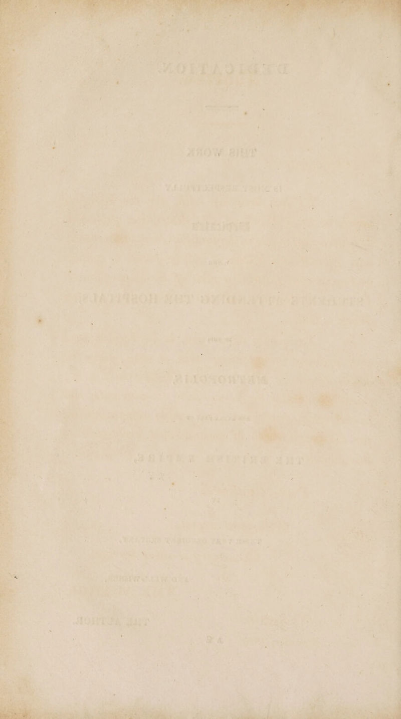 * ‘ t =. wise anow ai? ei o> e : f a - } l» a A } a ¢ a y ? Soe CLP aaa ree et . ‘ wakes PREUNTAROW Hts cay 2 1 * ete aad» x ‘ bl eS SLEOSOWEAM, | ) Jae aeived wi oh. , *- 7 + ULATHAD WRG TAS YT dea? ” . + se ‘s ‘ : Por “ Niawaka aia nha ni ue