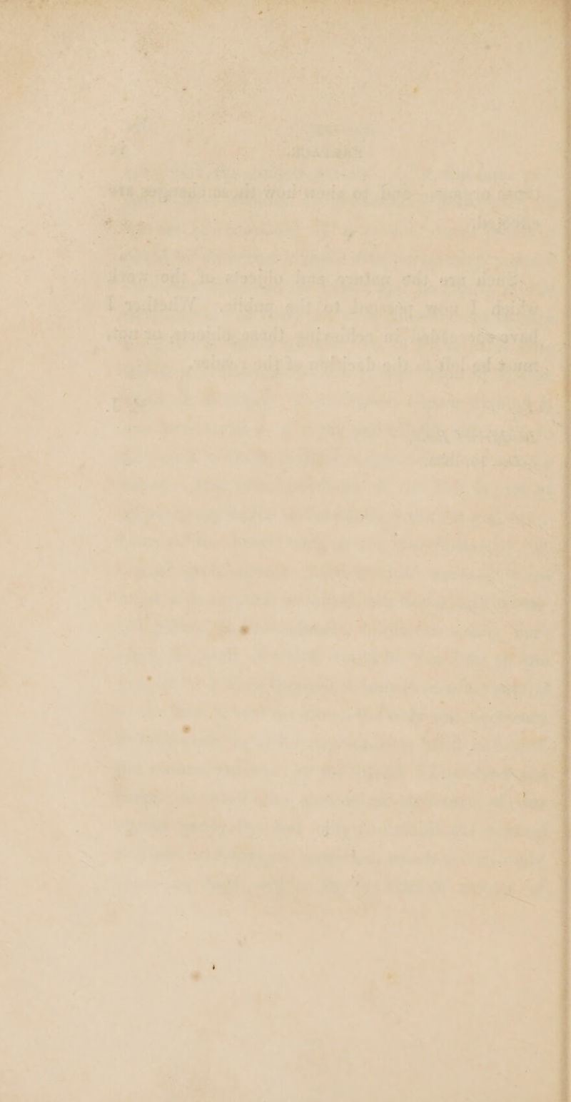 a dg ) ropa aL ‘ee te sinks ws canes LF ss Ra 2 ALS ae, ePbinab wb hb : ae 1 ue Wes, Pics i be i pk = 7 ome pty ‘, a, p= ad ’ é P] er u ch ' CMRP | a UP oe . 7 - ¢ as Tite taksis TE VE ae ; ‘* s° “As an: f se. bila - = NPA An AP he en’ ‘ LAs &gt; a oe &gt;s Sra op es ae, , vy eh Go - p&gt; a as ove a ae Beith rs: Bae De AE soon seal we ae = an ee i ' sRicueogig yy = Ra Ms ow Cea, eink Lee “igh ie ie Arora es aoe) a ~,