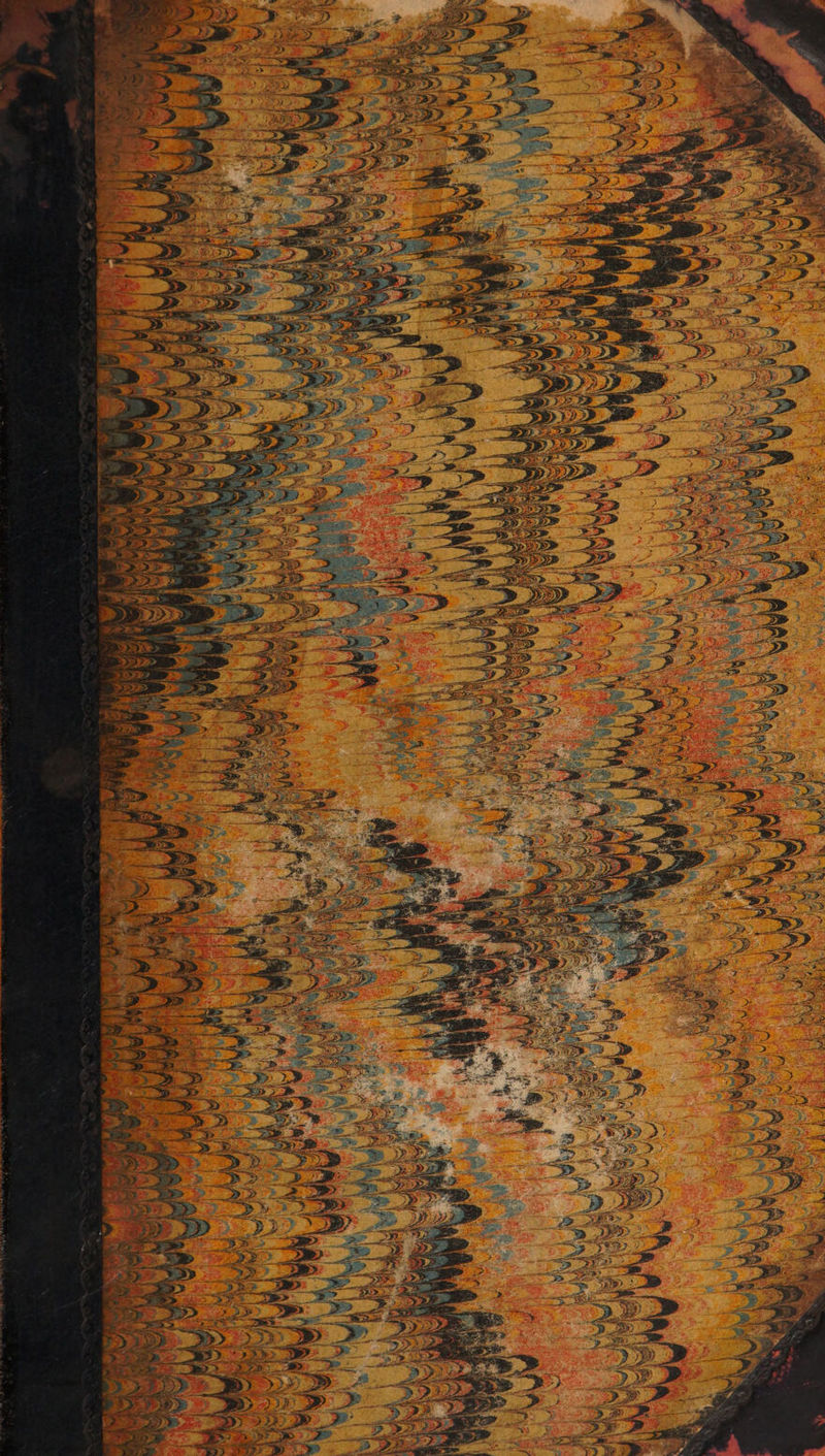 NeNAvas ee 9: PE Vase ‘