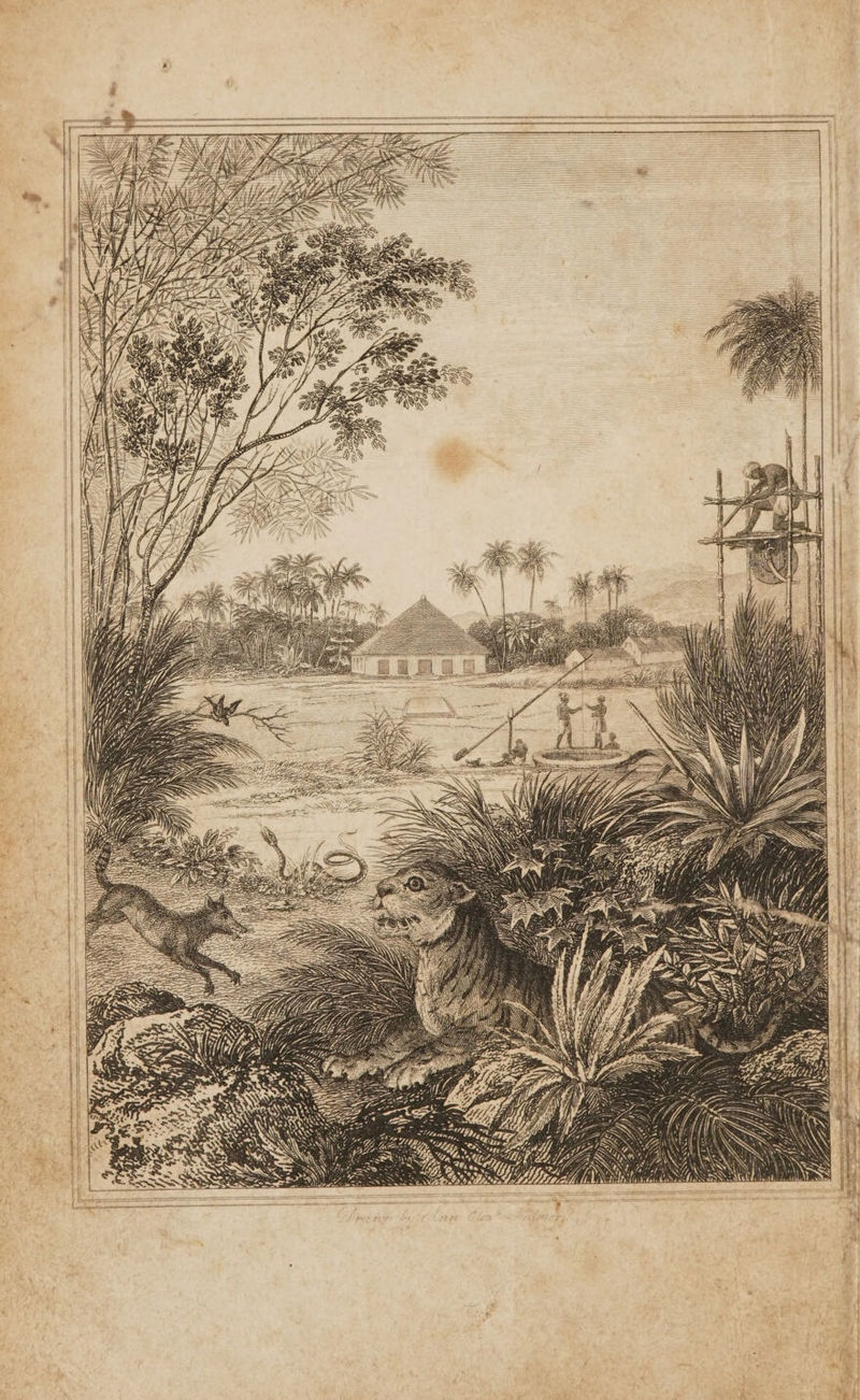 a | iE i) i Rh Wh } i pentane ee we _ter perenne ee g My Op LT ES LA. AN | ULL NOPD i v ‘ A pg ase ee ‘