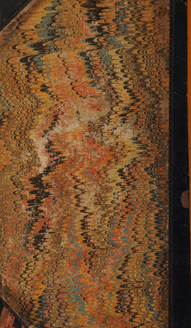 No text description is available for this image