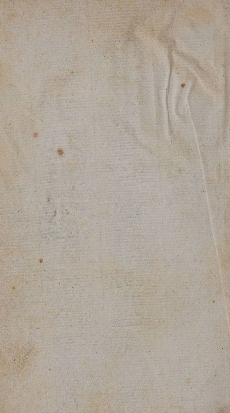 don sed C5 TION DHL TEL. LENS pe