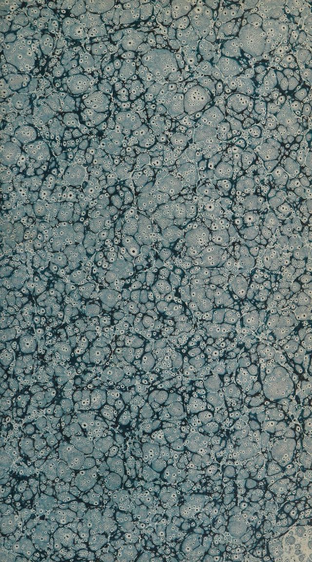 digitised image 3