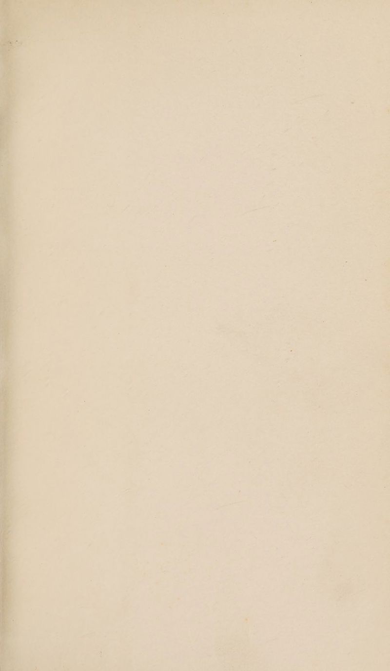 io 3 y Z f e: a = r J \ = F ‘ mee 4 oa aN s + we : A] ba)