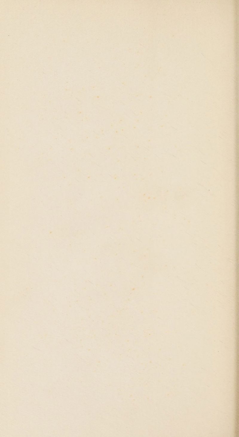 — a ‘ . . e a - . / # . a = « - _ . .