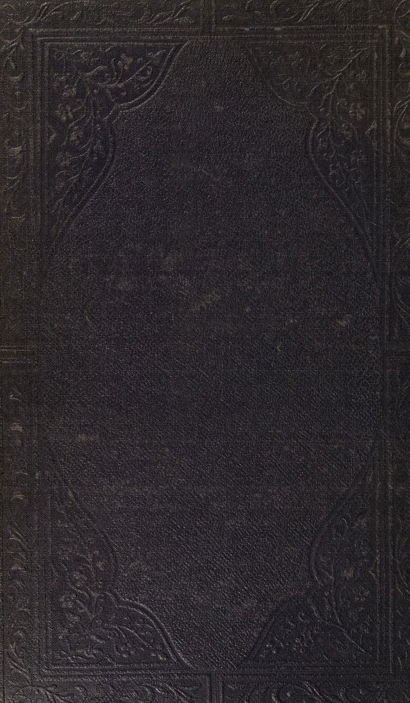 Pec Contes 8 Ae ete ites ti 8 ws a a oe PLD seh 7 pots Bay