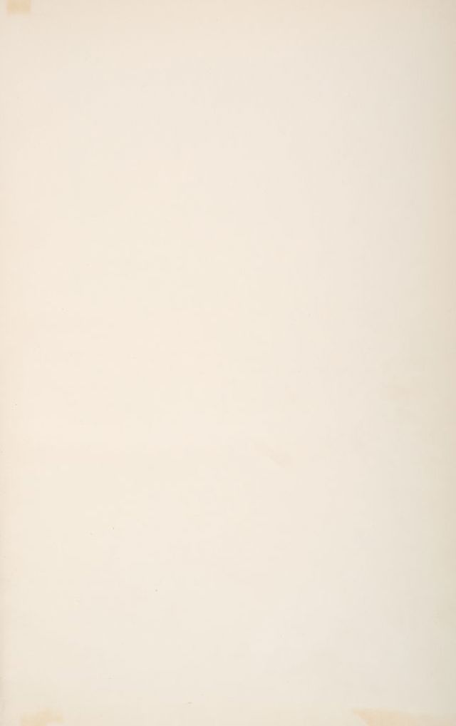 digitised image 3