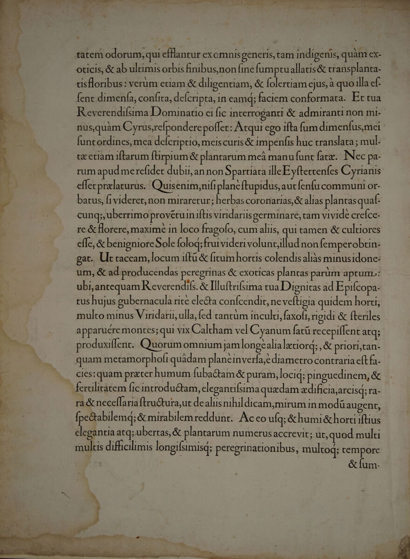 ! A E r ; HN i u LEN à Z | - ] A | . 1 N . JA  i tatem odorum, qui cíflantur exomnis generis, tam indigenis, quam ex- pr oticis, &amp; ab ultimis orbis finibus;non fine fumptuallatis&amp; transplanta- tisfloribus: verum etiam &amp; diligentiam, &amp; lolertiam ejus, à quo illa ef- 1 fent. dimenía, confita, delcripta, in eamq; faciem conformata. Ectua E er Reverendifsima Dominatio ei fic interroganti &amp; admiranti non mt-- P nusquam Cyrus,refpondere pollet : Atqui ego ifta fum dimenfus,mel : d J. funtordines, mea defcriptio, meiscuris&amp; impenfis huc translata ; mul. A tz etiam 1ftarum füirpium &amp; plantarum meà manufunt fatx.. INec pa- rum apud me refidec dubii, annon$ partiata ille E yfteccenes Cyrianis | effecpralaturus.. Quisenim;nifiplanéftupidus, aucfenfu communi or- batus, fi videret; non miraretur; herbas coronarias,&amp; alias plantasquaf- cung; uberrimo provetu in ifs viridaris germinare,tam vivide creíce- re &amp; florere, maxime 1n loco Íragofo, cum aliis, qui tamen &amp; cultiores effe, &amp; benigniore Sole Íoloq; fruivideri volunt,illud non Íemperobun- : gat. Ut taceam, locum iftà &amp; fitum hortis colendis aliàs minusidone- um, &amp; ad producendas peregrinas &amp; exoticas plantas parum aptum»: ubi, antequam Reverendifs. &amp; Illufteifsima tua Dignitas ad E piícopa- tus hujus gubernacula rite ele&amp;ta confcendit, ne veftigia quidem horti; á | multo minus V iridarii, ulla, fed cantum inculu, faxofi, rigidi &amp; fteriles E. | apparuére montes; qui vix Caltham vel Cyanum fatü recepillent atq; : produxillent. Quorumomnium jamlonge alia lacciorq; , &amp; priori,can- : quam metamorphofi quàdam plane inverfa,e diametro contraria eft fa- ENS ^... Ces: quam prater humum Ífuba&amp;tam &amp; puram, lociq; pinguedinem, &amp; | Éferalitatem fic introductam, clegantifsimaquzdam zdificiaareisq; ra- * | ra &amp; necefílaria ftru&amp;tura,ut de aliis nihil dicam,mirum in modüau ent, r Ípe&amp;tabilemq; &amp; mirabilem reddunt... Ac eo ufq; &amp;humi&amp;hora iftius elegantia atq; ubertas, &amp; plantarum numerus accrevit; ut, quod multi mulus difficilimis longifsimisq; peregrinationibus, multoq; tempore &amp; fum. ^ 1 à wo» — M : e d n 3 D: m z * &amp; U — , L 4 i os WS UUTTETTCENEEBCIERE 2 DICE ; :  - |JAdicm' S