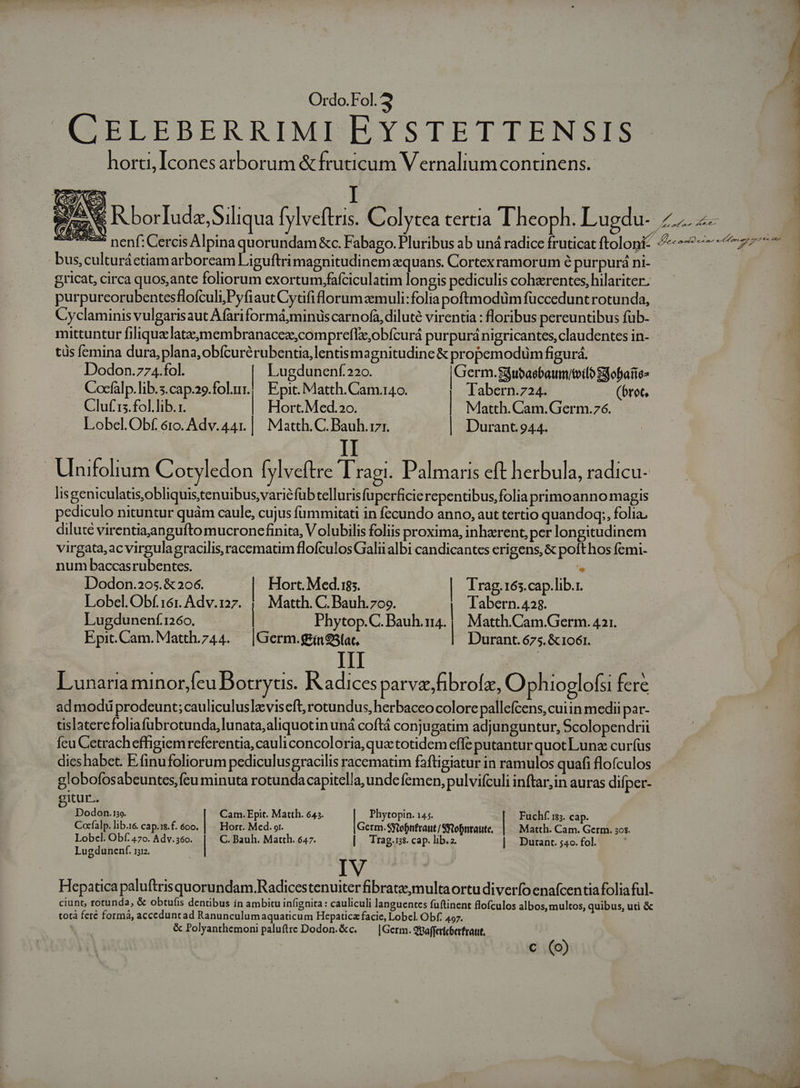 CELEBERRIMI EYSTETTENSIS hort, Icones arborum &amp;fruticum V ernalium continens. : : e P borTudz, Siliqua fylveftris. Colytea tertia Theoph. Lugdu- £2 —— | ES: nenf: Cercis Alpina quorundam &amp;c. Fabago. Pluribus ab und radice fruticat ftolopi? 42-7777 | bus, culturá ctiam arborcam Liguftrimagnitudinem equans. Cortexramorum é purpurá ni- | gricat, circa quos,ante foliorum exortum.fáfciculatim lon gis pediculis cohzrentes, hilariter. j purpurcorubentesflofculi,Pyfiaut Cytfiflorumzmuli:foliapoftmodüm füccedunt rotunda, | | Cyclaminis vulgarisaut Afàriformá,minüscarnofa, diluté virentia : floribus pereuntibus füb- mittuntur filiquxlataz;membranaceaz,;comprefle,obfcurá purpuránigricantes, claudentes in- tüs fcmina dura, plana, obícurérubentia,lentismagnitudine &amp; propemodum figurá. Dodon.774.fol. | Lugdunenf.220. Germ. jubaebaum/teilo Sfofaiie- Cocfalp. lib.s.cap.29.fol.u. Epit. Matth. Cam.140. Tabern.724. (brot, Cluf'15.fol.lib.1. | Hort.Med.2o. | Matth. Cam.Germ.76. Lobel.Obf. éto. Adv. 441. | Matth. C. Bauh. i1. | Durant.944. II Uhnifolium Cortyledon [ylveftre lrag. Palmaris eft herbula, radicu- lis geniculatis,obliquistenuibus,varié füb tellurisfuperficierepentibus,folia primoanno magis pediculo nituntur quàm caule, cujus füummitati in fecundo anno, aut tertio quandoq;, folia. dilute virentiajangufto mucroncfinita, V olubilis foliis proxima, inharent, per longitudinem virgata,acvirgulagracilis racematim flofculos Galiialbi candicantes erigens, &amp; poft hos fcmi- num baccasrubentes. ! Dodon.205.&amp;206. | Hort. Med.185. | Trag.165.cap.lib.r. Lobel.Obf.161. Adv.127. ; Matth. C.Bauh.70o. | Tabern.428. Lugdunenf 1260. | Phytop.C.Bauh.n4.; Matth.Cam.Germ.421. p Epit. Cam. Matth.744. |Germ.finS3at, | Durant. 675. &amp; 1061. III | : Lunariaminor,Íeu Dotryus. Radices parva, fibrofz, O phioglofsi fere ad modü prodeunt;cauliculuslviseft, rotundus, herbaceo colore pallefcens, cuiin medii par- tislaterefoliafubrotunda, lunata;aliquotinuná coftá conjugatim adjunguntur, Scolopendrii fcu Cetrach efigiemreferentia, cauli concoloria, quatotidem effe putantur quot Lunz curfus dicshabet. Efinufoliorum pediculusgracilis racematim faftigiatur in ramulos quafi flofculos globofosabeuntes,feu minuta rotundacapitella, unde femen, pulvifculi inftar,in auras difper- gitur. Dodon.1. Cam. Epit. Matth. 645. Phytopin. 145. Fuchf. 183. cap. Cocfalp. lib.i. cap.1.f. 600. | | Hort. Med. gr. Germ.Sytofnfraut /SYtobnraute, Matth. Cam. Germ. 50$. Lobcl. Obf. 470. Adv.36o. C. Bauh. Matth. 647. | Trag.s. cap. lib.z. | Durant. ;4o. fol. Lugdunenf. 152. Hepaticapaluftrisquorundam.Radicestenuiter fibratazmultaortu diverío enafcentia folia ful- ciunt, rotunda, &amp; obtufis dentibus in ambitu infignita : cauliculi languentes füftinent flofculos albos, multos, quibus, uti &amp; totà feré formà, acccduntad Ranunculumaquaticum Hepatica facie, Lobel. Obf. 497. | &amp; Polyanthemoni paluftre Dodon.&amp;c. — |Germ. epoffericberfraut. c (o)