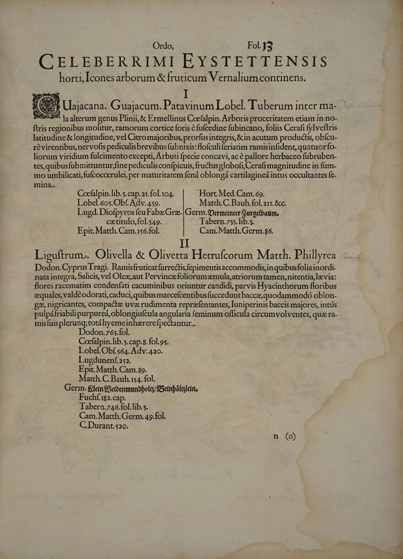 CELEBERRIMI EYSTETTENSIS horti, Icones arborum &amp; fruticum V ernalium continens. S557 la alterum genus Plinii, &amp; Ermellinus Cocfalpin. Arboris proceritatem etiam in no- . ftris regionibus molitur, ramorum cortice foris é fufcedine fübincano, foliis Cerafi fylveftris latitudine &amp; longitudine, vel Citro majoribus, prorfus integris, &amp;in acutum productis, obícu- révirentibus, nervofis pediculisbrevibus fubnixis:flofculiferiatim ramisinfident, quatuorfo- liorum viridium fulcimento excepti, Arbuti fpecie concavi, ac é pallore herbaceo fübruben- tes,quibus fübmittuntur,fine pediculis confpicuis, fructusglobofi,Cerafi magnitudine in fum- mo urmbilicati,fufcococrulei, per maturitatem fená oblongá cartilagineá intus occultantes fc- mina.. Cocfalpin. lib. 5.cap.21.fol. 104. | Hort. Med.Cam. 69. Lobel.60os.Obf. Adv. 439. .. Matth.C. Bauh .fol.211. &amp;c. Lugd. Diofpyros feu Fab Ed Germ.9Dermetnter Sjurgelbatttn, catitulo,fol.349. . Tabern.735. lib.s. Epit. Matth. Cam.156.fol. | | Cam.Matth.Germ.86. I Liguftrum.. Olivella &amp; Olivetta Eetrufcorum Match. Phillyrea Dodon.CyprusTragi. Ramisfruticat furrecdtisfepimentis accommodis,in quibusfolia inordi- nata integra, Salicis, vel Olez,aut Pervincafoliorumaemula;atriorum tamen, nitentia, la via: flores racematim condeníati cacuminibus oriuntur candidi, parvis Hyacinthorum floribus acquales, valde odorati,caduci, quibusmarcefcentibusfuccedunt bacca,quodammodo oblon- ge, nigricantes, compacte uva rudimenta reprafentantes, luniperinis baccis majores, intus pulpáfriabili purpureá, oblongiufcula angularia feminum officula circumvolventes, qua ra- misíuisplerunq;totá hyemeinhzrerefpectantur.. | Dodon.765.fol. Cocfalpin.lib. s.cap.8. fol. 95. Lobel.Obf. 564. Adv. 420. Lugdunenf.252. Epit. Matth. Cam. 89. Matth. C. Bauh.is4. fol. Germ. fein Sfeioerumumbboles SSeinfóleeitt, Fuchí'182.cap. labern.746.fol.lib.s. Cam. Matth.Germ. 49.fol. C. Durant.520.