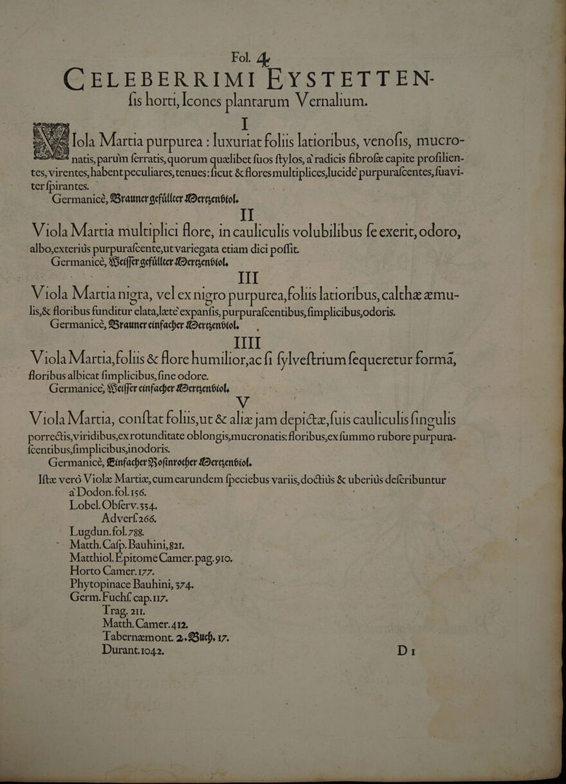 CELEBERRIMI EYSTETTEN fis horti, Icones plantarum Vernalium. 3 Iola Martia purpurea : luxuriat foliis latioribus, venofis, mucro- 2940:2 natis, parum ferratis, quorum quaelibet fuos ftylos, a radicis fibrofz capite profilien- tes, virentes, habent peculiares, tenues: ficut &amp; floresmultiplices/lucide purpurafcentes, fuavi- terfpirantes. - : - Germanice, 9Sratumer aefüllcer Oertsenóiof. Viola Martia muluplici flore, in cauliculis volubilibus fe exerit, odoro, albo;exteriüs purpurafcente;ut variegata etiam dici poffit. Germanice, SSeiffer aefüllcer Oertenóiol, — ze III Viola Martia nigra, vel ex nigro purpurea folus latioribus, calthe zmu- lis,&amp; floribus funditur elata,late expanfis, purpurafcentibus,fimplicibus,odoris. Germanice, 95ratuner cínfacber HOeraenóiol, Viola Martia foliis &amp; lore humilior,ac fi [ylveftrrum fequeretur formá, floribus albicat fimplicibus,fine odore. Germanice, SSeiffer cinfacber Iertenóiof, Viola Martia, conftat folus,ut &amp; ali Jam depictz,fuis cauliculis (ineulis porrectis,viridibusex rotunditate oblongisymucronatis: floribus,ex fummo rubore purpura- Ícentibus,fimplicibusinodoris. | Germanice, ffinfachar 95ofinrocber (Oertmntiof. Ift vero Viola Martiz, cum earundem fpeciebus variis, doctiüs &amp; uberius defcribuntur a Dodon.fol.156. Lobel. Obferv.334. Adverf.266. Lugdun.fol. 788. -- Matth. Cafp. Bauhinig?r. j Matthiol. Epitome Camer.pag.91o. Horto Camer.177. ! Phytopinace Bauhini, 374. Germ. Fuchf cap.u. Trag. 21. Matth. Camer.412. labernzmont 2.€5udf, 17. Durant.1042. Dr