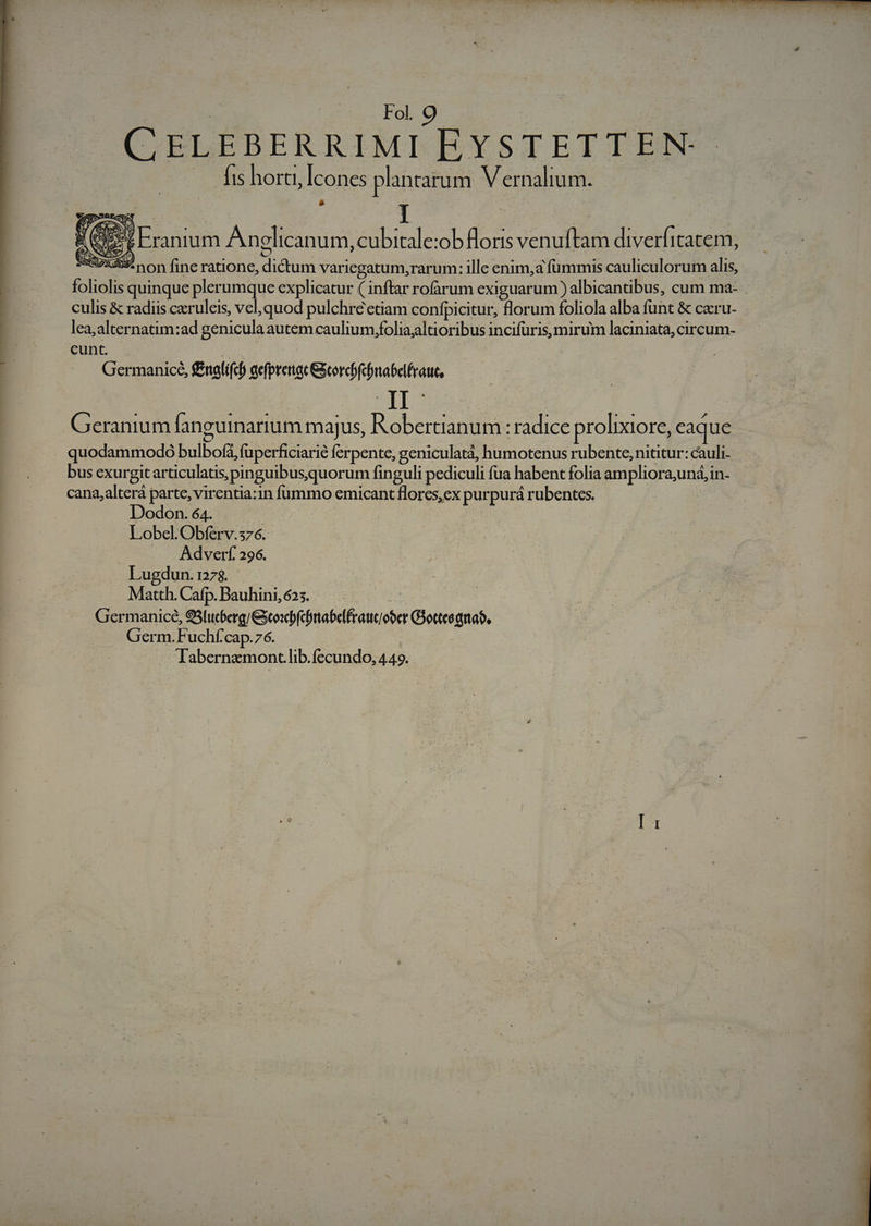 | a Fol. 9 ] | CELEBERRIMI EYSTETTEN- fis hora, Icones planrarum Vernalium. * : H Eranium Anglicanum,cubitale:ob floris venuftam diverfitatem, SURE non fine ratione, dictum variegatum,rarum: ille enim,a fümmis cauliculorum alis, foliolis quinque plerumque explicatur ( inftar rofarum exiguarum) albicantibus, cum ma- culis &amp; radiis ceruleis, vel, quod pulchré'etiam confpicitur, florum foliola alba funt &amp; caru- lea,alternatim:ad genicula autem caulium foliajltioribus incifüris, mirum laciniata, circum- cunt. Germanice, £nali(cf aefprenac ecorcbfcbitabelfrauc, Geranium fanguinarium maj us, Robertianum ; radice prolixtore, eaque quodammodo bulbofá, fuperficiarié ferpente, geniculatá, humotenus rubente, nititur: cauli- bus exurgitarticulatis, pinguibusquorum fin guli pediculi fua habent folia ampliora;und,in- cana,alterá parte, virentia:in fummo emicant flores,ex purpurá rubentes. | Dodon. 64. | Lobel. Obferv.376. Adverf 296. Lugdun. 1278. | Matth. Cafp. Bauhini, 625. d Germanice, 95[utberg/ Gtoxcbfcrtabelfraut/ober Gottes ana, Germ. Fuchf.cap.76. Tabernzmont.lib.fecundo, 449.