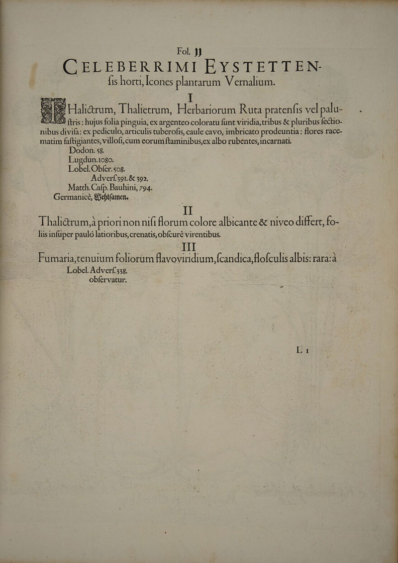 CELEBERRIMI EYSTETTEN- fis horti, Icones plantarum Vernalium. ; - S Halirum, ] halietrum, EIabironum Ruta pratenfis vel palu- XE R93 (tris: hujus folia pinguia, ex argenteo coloratu funt viridia,tribus &amp; pluribus fectio- ibus divifà: ex pediculo, articulis tuber ofis, caule cavo, imbricato prodeuntia: flores racc- matim faftigiantes, villofi, cum eorumftaminibus,ex albo rubentes, incarnati. Dodon. sg. Lugdun.1o8o. Lobel. Obfer: sog. Adverf 391. &amp; 392. Matth. Cafp. Bauhini, 794. Germanice, $&amp;ebtfamen. T hali&amp;rum;à priori nonnifi lorum colore albicante &amp; niveo differt, fo- lus infüper paulo latioribus, crenatis, obícuré virentibus. zs Piana tenuium oioróm flavoviridium, (candica, flofculis albis: rara:a | Lobel. Adverfss. obíervatur.