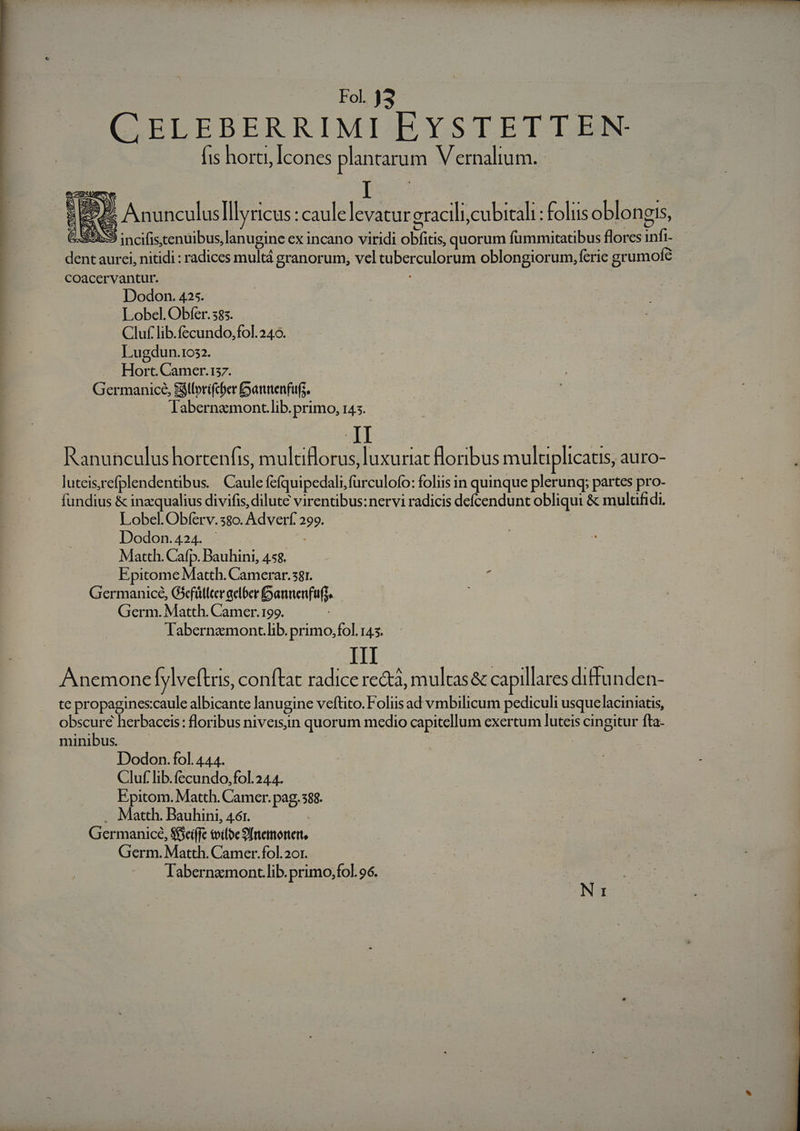 CELEBERRIMI EYSTETTEN- is horti, Icones plantarum. V ernalium. E EX Anunculuslllyricus :caulelevatur oracili,cubitali : folus oblongis, BS incifis tenuibus, lanugine ex incano viridi obfitis, quorum fummitatibus florcs infi- dent aurei, nitidi : radices multá granorum, vel tuberculorum oblongiorum, ferie grumofc Coacervantur. | Dodon. 425. Lobel. Obfer. 385. Cluf lib.fecundo,fol. 249. Lugdun.1032. Hort. Camer.137. Germanice, Sgtlorifcher [oanenfufs. labernzmont.lib. primo, 145. Ranunculus hortenfis, multilorus, luxuriat floribus muluplicatis, auro- luteisrefplendentibus. | Caule fefquipedali,furculofo: foliis in quinque plerunq; partes pro- fundius &amp; inzqualius divifis, dilute virentibus: nervi radicis defcendunt obliqui &amp; multfidi, Lobel.Obfíerv.38o. Adverf 299. - Dodon.424. Matth. Cafp. Bauhini, 458. Epitome Matth. Camerar.s81. Germanice, Gxfüllcer aetber annenfuff. Germ. Matth. Camer. 199. labernamontc.lib. primo,fol. 145. Anemonefylveftris, conftat radice rectà, multas&amp; capillares diffunden- te propagines:caule albicante lanugine veftito. Foliis ad vmbilicum pediculi usquelaciniatis, obscure herbaceis: floribus niveisin quorum medio capitellum exertum luteis cingitur fta- minibus | Dodon. fol. 444. Cluf lib.íecundo,fol. 244. Epitom. Matth. Camer. pag. 388. . Matth. Bauhini, 46r. j Germanice, Seiffe toiloe Sfetmorterte Germ. Matth. Camer. fol. 201. Tabernamont.lib.primo,fol. 96.