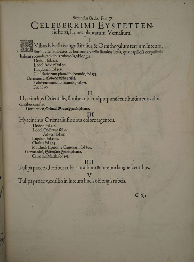 [is horti, Icones plantarum Vernalium.. &amp; Es V Ibus Bhvefisi anguftifolius,&amp; Ornichogalumtertium luteurs, | 2» floribus ftellatis, exterius herbaceis, verfus ftamina luteis, quz capillofa corpuícula jubes rotunda,radicibus tuberofis oblongis. Dodon. fol. 222. Lobel.Adverf fol. $6. Lugdunen.fol.1585. Cluf Rariorum plant.lib.fecundo, fol. 18$. Germanice, 9fcl6 oer 9l[cferstoiffel. Tabernzmont.lib.fíecundo, fol. 32L Fuchf 6o. . LY De € Fools O rientalis, floribus ds purpuncendbus interius e cantibus,conftat. j Germanice, OríentalS5raum D»acintbbtume. III Hyacinthus Orientalis floribus colorear centels, Dodon.fol.216. Lobel. Obfervat.fol. 54. Adverf fol. 48. Lugdun.folisog. Clufius,fol. 174. Matthioli Epitome Camerarii fol. goo. Germanice, Giilberfarb pacind)blume Camerar. Matth.fol.368. Tulipapracox,floribus rubeisin album &amp; luteum languefcenubus.. Tulipa przcox,ex alboin luteum lineis oblongis rubeis. G Xt