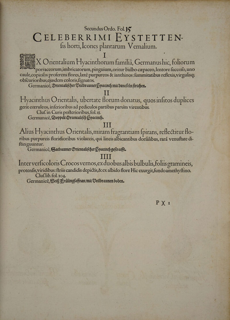 Y E A Orientalium Hyacinthorum familià, Germanushic, foliorum 7*porraceorum;imbricatorum, pinguium,oritur bulbo capacceo, lentore fuccofo,uno caule,copiofos proferens flores, lzté purpureos &amp; ianthinos:fummitatibus reflexis,virgulisq; obfcurioribus ejusdem coloris/fignatos. Germanice, Drientalifcber Deilbrauner Dbacintf/micóuncn firícben,. ITA Hyacinthus Orientalis, ubertate florum donatus, quos infitos duplices gerit coeruleos, inferioribus ad pediculos partibus parum virentibus. Cluf in Curis pofterioribus,fol.18. Germanice, &amp;oppelt DL. Dvacintdj. III Altus Hyacinthus am, miram fraerantiam Ípirans, refle&amp;itur lo- ribus purpureis floridioribus violaceis, qui lineis albicantibus dorfalibus, rará venuftate di- ftinguuntur. Germanice, Gatbauner Orientalifcher Dooacindb aeftraifft. Interverficoloris Crocosvernos,ex duobusalbis bulbulis,foliis eramineis, protenfis,viridibus: ftris candidis depictis,&amp;ex albido flore Hic exurgitfundo amcthyftino. Cluflib.fol.204. Germanice, Seis Erálinafaffrawmit Deilbrammen bobert, P351 AL qe WI. JONPNETUN We» QV