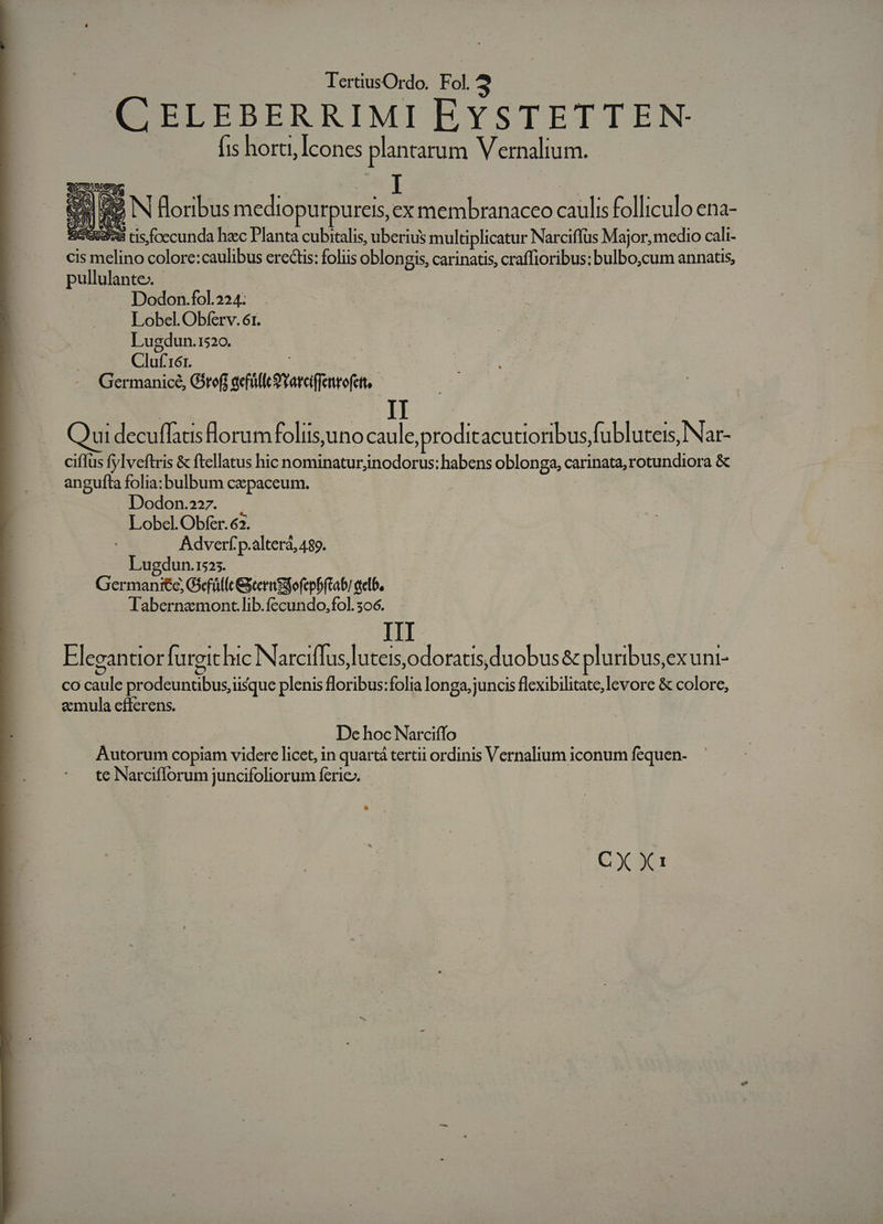 QELEBERRIMI EYSTETTEN- Íis horti, Icones plantarum V ernalium. e | el i d Gu» IN floribus mediopurpureis, ex membranaceo caulis folliculo ena- Gode tis foecunda hac Planta cubitalis, uberius multiplicatur Narciflus Maj or, medio cali- cis melino colore:caulibus erectis: foliis oblongis, carinatis, craffioribus: bulbo,cum annatis, pullulante- | | | : Dodon.fol.224: Lobel. Obferv. 61. Lugdun.1520. Cluf'16r. : Germanice, Giref aefüffcOYarciffentofett, R2 z^ i97) L Yl ui decuffatis florum folis uno caule, proditacutioribus fubluteis, Nar- ciffus fylveftris &amp; ftellatus hic nominaturjinodorus: habens oblonga, carinata;rotundiora &amp; angufta folia:bulbum cepaceum. | Dodon.27. . Lobcl.Obfer. 62. Adverf p.alterá, 489. Lugdun.1525. Germanite, Gefüllc&amp;ermeofepbftabi qelb, Tlabernamont.lib.fecundo,fol. 306. Elegantior furgit hic Narciffus,luteis,odoratisduobus &amp; pluribus,exuni- co caule prodeuntibus, iisque plenis floribus:folia longa, juncis flexibilitate,levore &amp; colore, eemula eflerens. | | De hoc Narciffo Autorum copiam videre licet, in quartá tertii ordinis Vernalium iconum fequen- te Narcifforum juncifoliorum ferie.