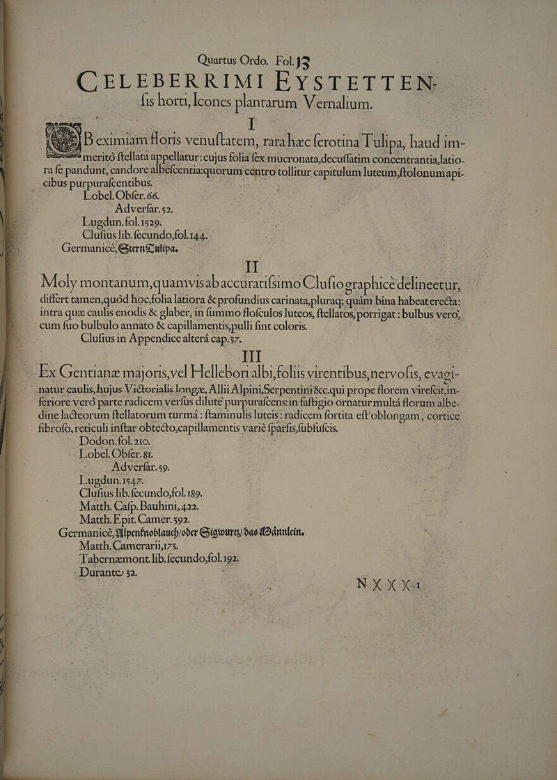 fis horti, Icones plantarum Vernaltum. ESI B eximiam Horis venuftatem, rara hac ferotina Tulipa, haud Im- meritó ftellata appellatur: cujus folia E mucronata,decuffatim concentrantia,latio- ra fé pandunt, candore albefcentia: MEUM céntro tollitur capitulum luteum,ftolonumapi- Lobel. Obfer. 66. Adverfar.52. .Lugdun.fol.1529. Giulits lib.fecundo,;fol. 144. Germanice, Gern&amp;ulipa, ui Mloly montanum quamvis ab; accu ratifsimo C'lufio graphice dilitescus differt camen quód hoc.folia latiora &amp; profundius carinata;pluraq; quàm bina habeat erecta: intra quz caulis enodis &amp; glaber, in fümmo flofculos luteos, ftellatos ; porrigat : bulbus vero; cum füo bulbulo annato &amp; capillamentis pulli fint coloris. | IE Clufiusin Appendice alterá Cap.57. » Ex Gentianz majoris, vcl Helles albi, folis virentibus, nervofis, evagi- feriore veró parte radicem verfus dilute purpurafcens:in faftigio ornatur multá florum albe- dine lacteorum ftellatorum turmá : ftaminulis luteis : icem fortita eftoblongam, cor tice fibr ofo, reticuli inftar obtecto ;capillamentis varié parfis fubfuícis. Dodon.fol.210. | Lobcel. Obfer. gr. ' Adverfar. 59. Lugdun. 1547. ibit lib.fecundo;fol.189. Matth. Cafp. Bauhini, 422. Matth. . Epit. Camer.392. Germanice, Sl[penfnoblaucb/ooer Giigtourts 9ae CO Gnnlcin, Matth. Camerarinizs. Tabernzmont.lib.íecundo;fol. UL Durante 22: N X X X.