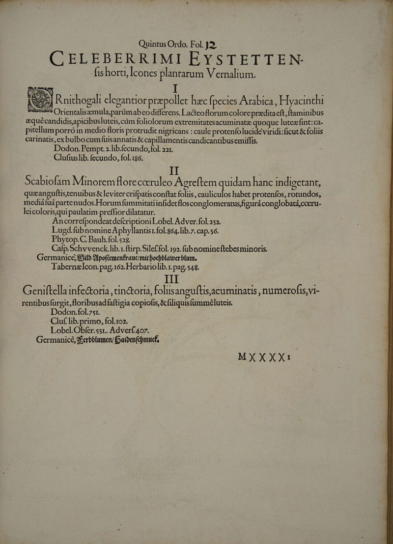 CELEBERRIMI EYSTETTEN- (short, Icones plantarum Vernalium. is] Rnithogalt elegantior przpollet hac f pecies Arabica , Hyacinthi $45? Orientalisamula;parümab co differens. Lacteo florum colore praedita eft, ftaminibus equécandidisapicibusluteis,cüm foliolorum extremitatesacuminatz quoque lutea: fint: ca- pitellumporró in medio floris protrudit nigricans : caule protenfo lucide viridi: ficut &amp; foliis carinatis, ex bulbo cumfuisannatis &amp; capillamentiscandicantibus emiffis. Dodon.Pempt ?.lib.fecundo,fol. 221. Clufiuslib. fecundo, fol.186. Scabiofam Minorem florecocruleo Agreftem quidam hanc indigetant, quaanguftis,tenuibus &amp; leviter crifpatisconftat foliis, cauliculos habet proteníos, rotundos, mediáfud partenudos.Horum fümmitatiinfidetflosconglomeratusfigurá conglobatá;cocru- leicoloris,qui paulatim preffior dilatatur. - Ancorrefpondeatdefcriptioni Lobel. Adver.fol.232. Lugd.füb nomine Aphyllantis1 fol. 864.lib.7. cap. 56. Phytop.C. Bauh.fol. 52$. Cafp.Schvvenck.lib.r. ftirp.Sile£fol. 192. füb nomineftebes minoris. Germanice S$silo 9[poftemenfrauci mt focbblatoer btum. Tabernzlcon. pag. 162. Herbariolib.r. pag, 548. III | Geniftellainfe&amp;oria ,tin&amp;oria, foliisanguftisacuminatis, numerofis,vi- rentibusfurgit,floribusadfaftigia copiofis, &amp; filiquisfummeluteis. | Dodon.fol.751. Cluf. lib.primo, fol.102. Lobel. Obfer.531.. Adverf 407. Germanicé,2£erbblumew aibenfcbmucf, MXXXX1i