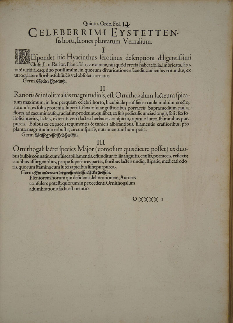 CELEBERRIMI EYSTETTEN [is horti, Icones plantarum Vernaltum. ^ Es€s Efponder hic Hyacinthus ferotinus. deferiptioni diligencifsimi UP Clufii;L.n. Rarior. Plant.fol. 177. exaratae, nifi quod erecta habeatfolia, imbricata, fatu- raté viridia, ecaq; duo potiffimum, in quorum divaricatione afcendit cauliculus rotundus, ex utroq;laterefloribusfubfucis vel obfoletis ornatus. : ^ Germ. Gpáter vacittb. Rartioris &amp; infolitz aliàs magnitudinis, eft Ornithosalum la&amp;eum fi pica- tum maximum, in hoc perquàm celebri horto, bicubitale profiliens : caule multüm erecto, rotundo, exfoliisprotenfis fuperius flexuofis,anguftioribus, porracceis. Supramedium caulis, : flores,ad cacumina ufq; radiatim prodeunt, quilibet, ex fuis pediculis unciaslongis,foli : fexfo- liolisinterius, lacteis, exterius vero lacteo herbaceisconfpicui, capitulo luteo, ftaminibus pur- purei. Bulbus ex ce paceis tegumenus &amp; tunicis albicantbus, filamentis craffioribus, pro planta magnitudine robuftis, circumfparfis, nutrimentum humi petic.. Germ.Sfei(featoffe elo toiffel. | III O mithogali la&amp;ci Ípecies Major (comofum quisdicere pollet) ex duo- busbulbisconnatis, cum fuiscapillamentis, effunditurfoliis anguftis, craffis, porraceis, reflexis; caulibus affürgentibus, prope füperiores partes, floribus lacteis undiq; ftipatis, medicatiodo- risquorumftaminacumluteisapicibusfunt purpurea. | Germ. ffín anocreattoer groffen tvet(fen lcfergtoiffeli, Plenioremhorumquidefideratdelineatnionem, Autores confülere poteft, quorumin precedenti Ornithogalum adumbrationc facta eft mentio.