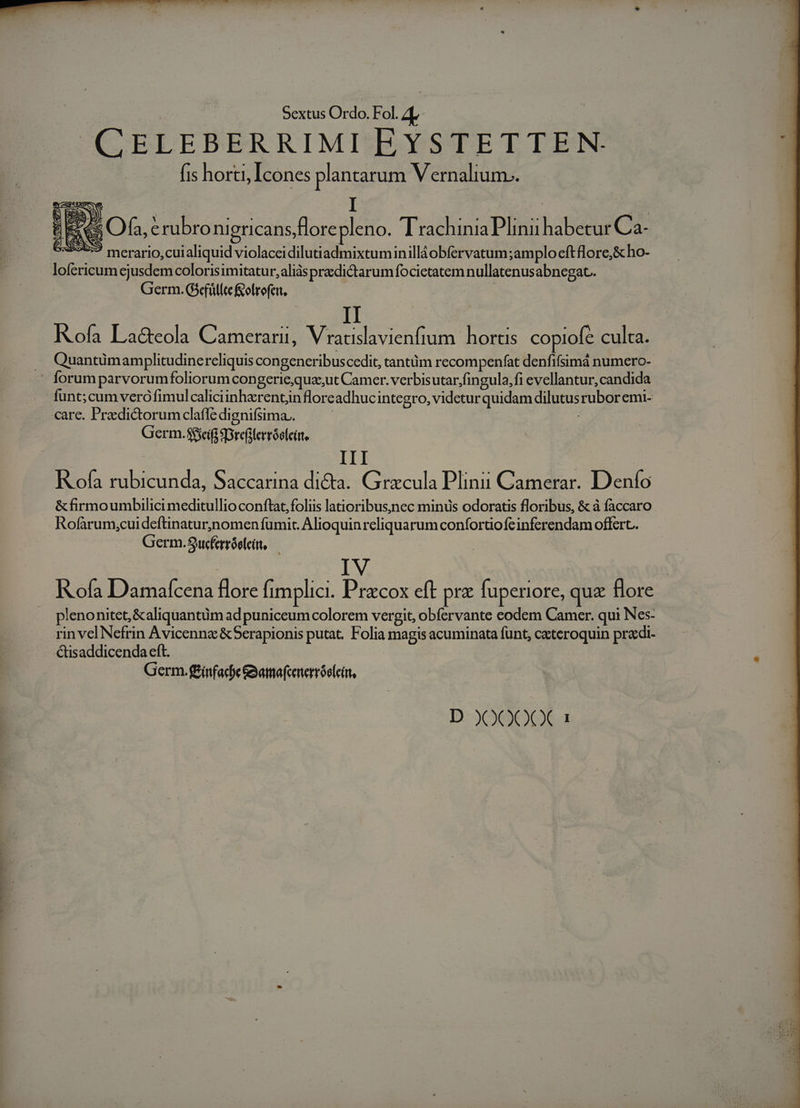 CELEBERRIMI EYSTETTE N- fis horti, Icones plantarum Vernalium.. o pum b M x T 2) S ; aie E ÉA E Ofa, C rubro nigricans,flore pleno. Trachinia Plinii habetur Ca- | 959 merario,cuialiquid violaceidilutiadmixtuminilláobfervatum ;amplo eft flore,&amp; ho- lofericum ejusdem colorisimitatur,aliàs predictarum focietatem nullatenusabnegat. Germ. G5efülltefolrofei, Rofa La&amp;eola Camerarii, Vracslavienfium. hortis copiofe culta. Quantümamplitudinercliquis congeneribuscedit, tantüm recompenfat denfifsimá numero- funt; cum veró fimul caliciinhzrentjin floreadhuc integro, videtur quidam dilutusruboremi- care. Praedictorumclafle dignifsima.. | Germ.$fseífi SDrefilerróolein, | III KR ofa rubicunda, Saccarina dicta. Grzcula Plinii Camerar. Denío &amp;firmoumbilici meditullio conftat, foliis latioribus,nec minüs odoratis floribus, &amp; à faccaro Rofarum,cuideftinatur,nomen fumit. Alioquin reliquarum confortiofeinferendam offert. Germ.Sucferróofein, — Rofa Damaícena flore fimplici. Pracox eft prz fuperiore, quz flore p'enonitet, &amp;aliquantüm ad puniceum colorem vergit, obíervante eodem Camer. qui Nes- rin vel Nefrin Avicenna &amp;5erapionis putat. Folia magis acuminata fünt, ceteroquin pradi- &amp;saddicenda eft. | Germ. ffitface&amp;atafcenerróoleir, D )OOO0Q0C 1