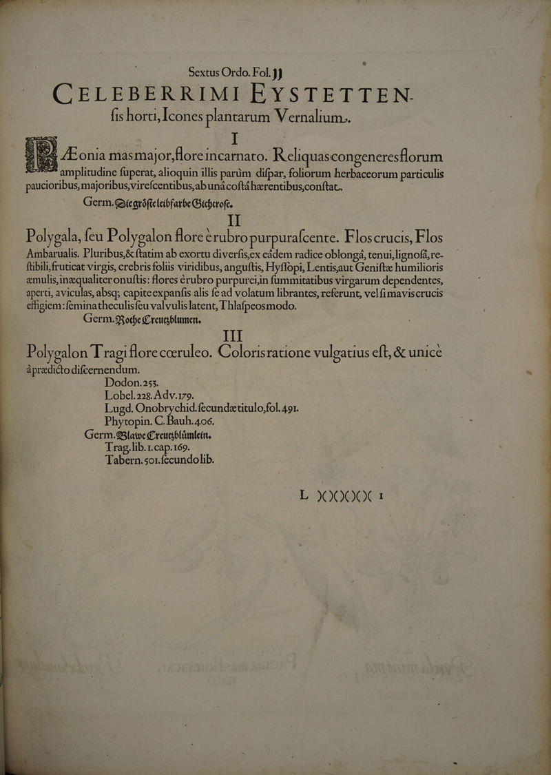 deut Ordo. Fol. 3j | CELEBERRIMI EYSTETTEN. fis horti, Icones plantarum Vernalium.. Mm amplitudine füperat, alioquin illis parüm difpar, foliorum herbaccorum particulis paucioribus, majoribus, virefcentibus,ab unácoftá herentibus,conftac.. | Germ.&amp;igróficleibfatbe Gicberoft. | lI Polygala, Íeu Polygalon Bore erubro purpurafcente. Flos CrUCIs, Flos Ambarualis. Pluribus,&amp; ftatim ab exortu diverfis,ex eàdem radice oblongá, tenui, lignofá, re- fübilifruticat virgis, crebris folis viridibus, anguftis, Hyflopi, Lentisaut Geniftz humilioris aperti, aviculas, absq; capiteexpanfis alis fc ad volatum librantes, referunt, velfimaviscrucis cfhgiem:feminatheculisfeu valvulis latent, T hlafpeosmodo. Germ.93orfe £raugblumen, P olyealon lragi lor C CCOCY uleo. Coloris ratione vuleatius eft, &amp; unice ápradicto difeernendum. | Dodon.255. Lobel.228. Adv.179. Lugd. Onobrychid.fecund«titulo,fol. 491. Phytopin. C. Bauh. 406. Germ.9S3latve C reutgolümlein, Trag.lib.1.cap.169. Tabern.sor.fecundolib. L )OOQQ€C 1 OuUuvTI »