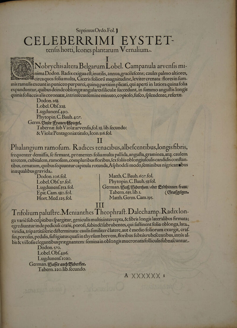 CEDBBERRIMI EYSTEET- tenis horti, Icones plantarum Vernalium.. $49 nima Dodon. Radixexigua efbinutilis, annua;gracilefcens; caules palmo altiores, 7/35 circa quos foliamulta, Ciceris foliorü magnitudine,levitercrenata: floresinfum- exeuntin puniceo purpurci,quing;partitim plicati, qui aperti in latiora quinafolia expanduntur, quibus deinde oblongeangularesfilicule füccedunt, in f1nuimo anguftis longis quinisfoliaceisalis coronate,intrinfecusfemine minuto, copiofo, fufco, fplendente, referta. Dodon.16$. Lobel. Obf. 22$. Lugdunenf 490. Phytopin.C. Bauh. 407. Germ.9)nfer frauen Gpicacl. labernz.fub Viola arvenfis,fol.18.lib.fecundo: &amp; Violz Pentagoniz tulo, Icon.s16.fol. Phalangium ramofum. Radices tenacibus,albefcentibus longis fibris, frequenter demiffis, fc firmant, promentes foliamulta pallida; an guíta,graminea,atq; caulem teretem, cubitalem, ramofüm, compluribusfloribus;fex foliis oblongiufculis candidisconftan- tibus,ornatum,quibusfequuntur capitula rotunda, A fphodcli modo,feminibus nigricansbus inzqualibusgravida.. | Dodon.106.fol. | | Matth. C. Bauh. 6c7.fol. Lobel. Obf 27.fol. Phytopin.C. Bauh.sgfol. Lugdunenf 852. fol. | German. S&amp;cifj S&amp;ibercbon ober f£rofpiuten Éraut Epit. Cam.580.fol. | Tabern.685.lib.1. ( Gsrafiailaete Hort. Med.125.fol. | . Matth.Germ.Cam.ros. amc TER | Trfolium paluftre. Menianthes Theophraft. Dalechamp. Radixlon- ga variéfüb ceípitibusfpargitur, geniculismultisintercepta, &amp; fibris longis lateralibus firmata; cgrediunturinde pediculi crafsi, porofi, fubinde fubrubentes, qui füftinent folia oblonga,lata,, viridia, tripartitáferie difterminata: caulisfimiliter élatere,aut é medio foliorum cxurgit, craf- fus;porofus, pedalis, faftigiatusquafiin thyrfum brevem, floribus fubtüs rubefcentibus, intus al- bis&amp; villofisclegantibuspregnantem:feminain oblongismucronatisfolliculis fübnafcuntur.. Dodon.s7o. : Lobel. Obf. 496. Lugdunenf.1020. German. S&amp;affer aucb 95iberflee. 'Tabern.220.lib.fecundo. A J0000X 1