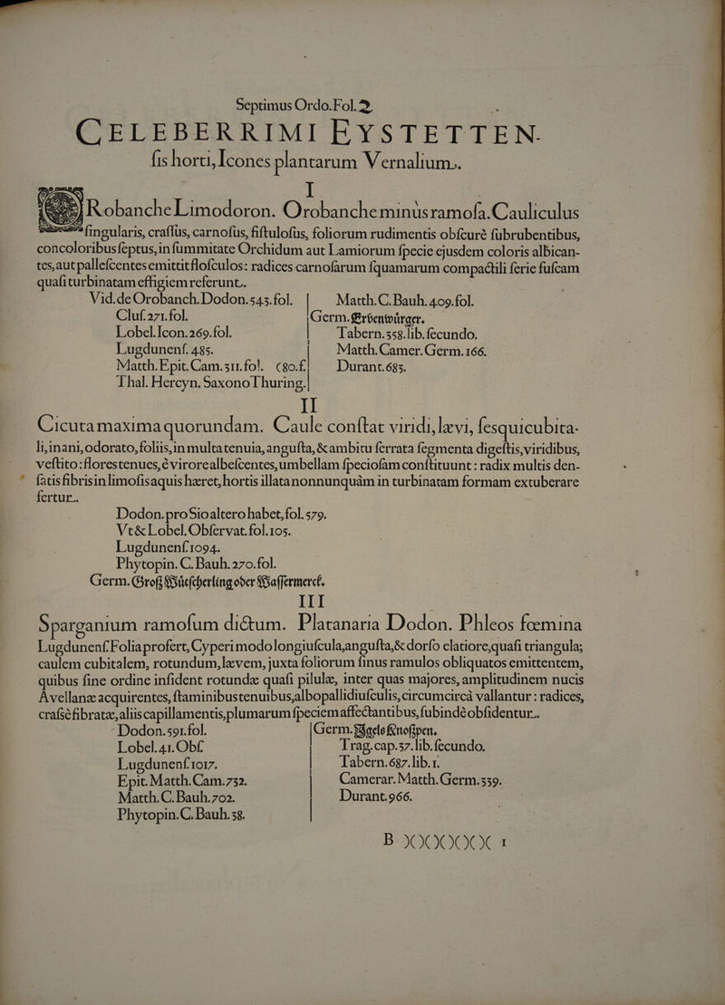 CELEBERRIMI EYSTETTEN. fis horti Icones plantarum Vernalium.. NS EA. Ro banche Limodor On. O r obanche munusram ofa Cauliculus daxsé^^ fimeularis, craflus, carnofus, fiftulofus, foliorum rudimentis obfcuré fubrubentibus, concoloribusfeptus,in füummitate Orchidum aut Lamiorum fpecie ejusdem coloris albican- tes,autpallefcentes emittitflofculos: radices carnofarum Íquamarum compadtili ferie fufcam quafi turbinatam effigiem referunt. Vid.deOrobanch.Dodon.545.fol. | Matth. C. Bauh. 40o.fol. Cluf.271.fol. Germ.róentoürger. Lobel.Icon.269.fol. | Tabern.sss.lib.fecundo. Lugdunenf. 435. | Matth. Camer. Germ. 166. Matth. Epit. Cam.51rfo!.. c8o.f. | Durant.635. Ihal Hercyn. Saxono T huring. C'icuta Inaxima quorundam. Caule conítat viridi, levi, lesquicubita- li;inani,odorato,foliis,in multatenuia, angufta, &amp;ambitu ferrata fegmenta digefts,viridibus, veftito:florestenues,é virorealbefcentes,umbellam fpeciofam conítituunt: radix multis den- fatisfibrisinlimofisaquis haeret, hortis illatanonnunquám in turbinatam formam extuberare fertur. | Dodon.proSioaltero habet, fol. 579. Vt&amp; Lobel.Obfervat.fol.105. Lugduneníf'1094. Phytopin. C. Bauh. 270.fol. Germ. G5rofi S&amp;ücfcberling ober Saffermercé. III ; S arganium ramofum di&amp;um. Placranaria Dodon. Phleos fcemina Lugdunenf Folia profert, Cyperi modolongiufculaangufta,&amp; dorfo clatiore;quafi triangula; caulem cubitalem, rotundum, lxvem, juxta foliorum finus ramulos obliquatos emittentem, quibus fine ordine infident rotundz quafi pilulz, inter quas majores, amplitudinem nucis Avellanz acquirentes, ftaminibustenuibus;albopallidiufculis, circumcircà vallantur : radices, crafséfibrata,aliiscapillamentisplumarum fpeciemaffectantibus fubinde obfidentur.. - Dodon.so1 fol. |Germ. facto ftofipeit, Lobel.41. Obf. Trag.cap.s7.lib.fecundo. Lugdunenf ror. | | labern.687.lib.r. Epit. Matth. Cam.732. | Camerar. Matth. Germ.5539. Matth. C.Bauh.702. Durant.966. Phytopin.C. Bauh. ss. |