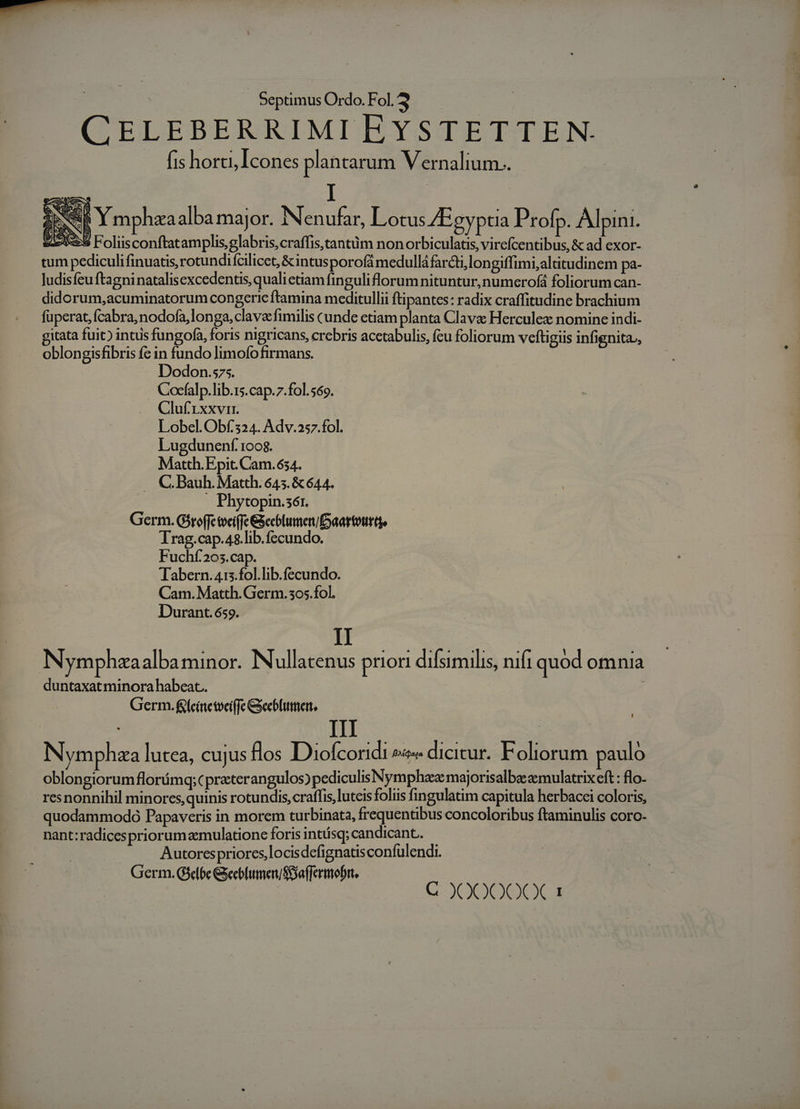 CELEBERRIMI EYSTETTEN. — fishorti Icones plantarum Vernalium.. - I E Y mphza alba major. Nenufar, Lotus ZEgyptia Profp. Alpini. 2555 Foliisconftat amplis, glabris,craffis,tantüm non orbiculatis, virefcentibus, &amp; ad exor- tum pediculifinuatis rotundifcilicet, &amp; intusporofá medulláfarcti.longiffimi,altitudinem pa- ludisfeu ftagni natalisexcedentis, quali etiam finguli florum nituntur, numerofá foliorum can- didorum,acuminatorum congerie ftamina meditullii ftipantes: radix craffitudine brachium füperat, fcabra, nodofa,longa, clava: fimilis cunde etiam planta Clavae Herculez nomine indi- gitata fuit) intus fungofa, foris nigricans, crebris acctabulis, fcu foliorum veftigiis infignita., oblongisfibris fc in fundo limofo firmans. Dodon.s75. Cocfalp.lib.1s.cap. 7.fol.569. Cluf1xxvir. Lobel. Obf 324. Adv.257.fol. Lugdunenf. 1008. Matth. Epit. Cam. 634. . C. Bauh. Matth. 645. &amp; 644. . Phytopin.sór. Germ. G$roffe toci(fe GSecblumen/oaattottrtjs Trag.cap.48.lib.fecundo. Fuchí.205.cap. Tabern. 415.fol.lib.fecundo. Cam. Matth. Germ. 305.fol. Durant. 659. 2 . » P e r3 ED e Y  Nymphzaalbaminor. Nullacenus priori difsimilis, nifi quod omnia duntaxatminora habeat. | Germ. &amp;fcinetociffe Geeblumert. ITI Nymphza lutea, Cujus flos D ioÍcor idi Beata dicitur . Folior um aulo oblongiorum florámq; cprterangulos)pediculis Nymphae majorisalbe:zmulatrix cft : flo- resnonnihil minorcs,quinis rotundis, craífis, luteis foliis fingulatim capitula herbacei coloris, quodammodo Papaveris in morem turbinata, frequentibus concoloribus ftaminulis coro- nant:radicespriorum aemulatione foris intiísq; candicant.. Autorespriorcs,locisdefignatisconfulendi. Germ. Giclóe GeeblumerSeaffermobrt. | C O0O00OOCT