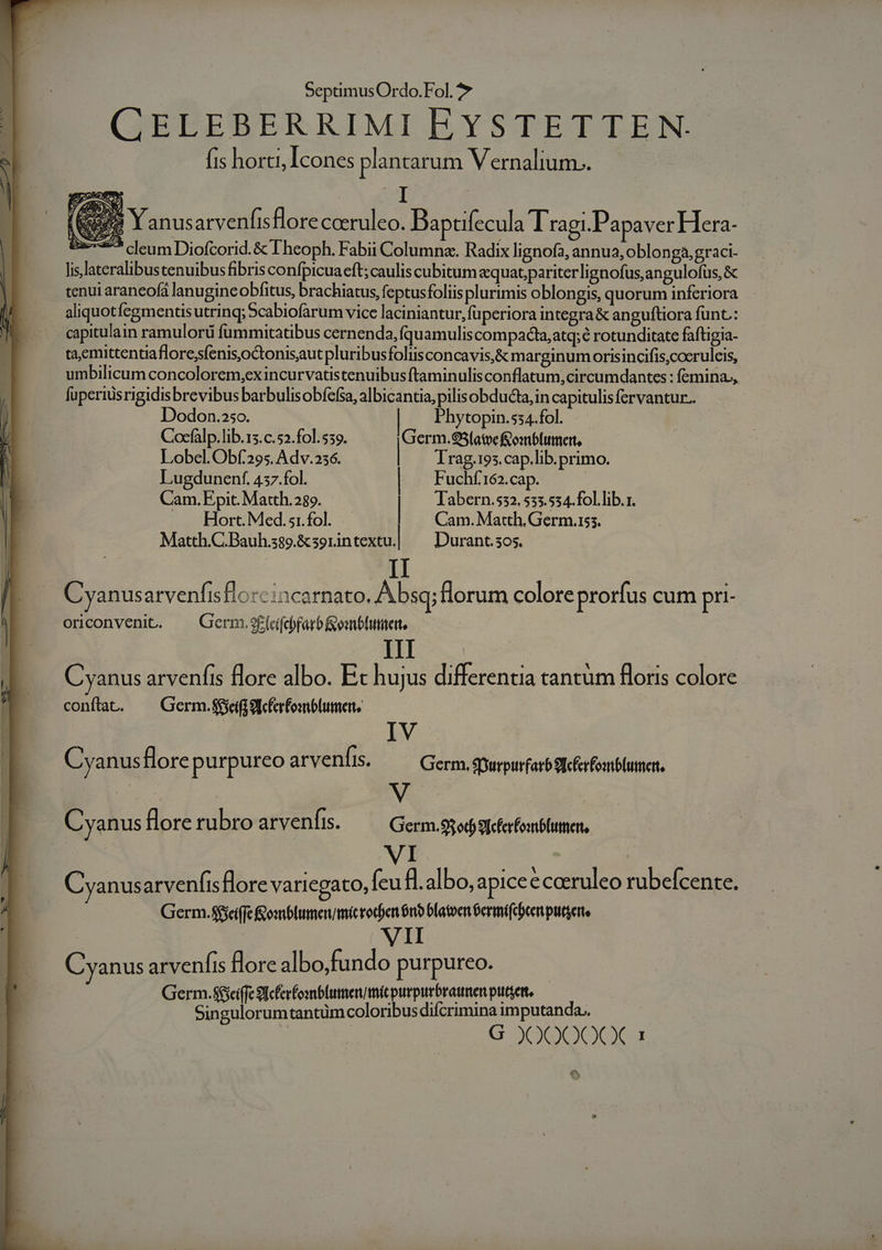 CELEBERRIMI EYSTETTEN. fis horti, Icones plantarum Vernalium.. 8 Y anusarvenfisflore caeruleo. Daptifecula Tragi.Papaver Hera- S25 cleum Diofcorid. &amp; Theoph. Fabii Columna. Radix lignofa, annua, oblonga, graci- lis lateralibustenuibus fibris confpicuacft;caulis cubitum equat,;pariterlignofus,angulofus, &amp; tenui arancofá lanugincobfitus, brachiatus, feptusfoliis plurimis oblongis, quorum inferiora aliquotfegmentisutrinq; 5cabiofarum vice laciniantur, fuperiora integra &amp; anguftiora funt: capitulain ramulorü fummitatibus cernenda,quamuliscompacta;atq;é rotunditate faftigia- taemittentaflore;sfenis,octonisautpluribusfoliisconcavis,&amp; marginum orisincifis,coeruleis, umbilicum concolorem,exincurvatistenuibus ftaminulis conflatum,circumdantes : femina,, fuperiüsrigidis brevibus barbulisobíefsa, albicantia, pilisobducta, in capitulis fervantur.. Dodon.25o. Phytopin.ss4.fol. Cocfalp. lib.15.c.52.fol. 539. Germ.95(atoefomblittieit, Lobel. Obf.295. Adv.256. | Trag.195.cap.lib.primo. Lugdunenf. 457.fol. | Fuchf'162.cap. 5 Cam.Epit. Matth.289. | Tabern.532. 533.534. fol. lib.r. Hort. Med.s1.fol. Cam. Matth. Germ.iss. Matth.C.Bauh.s89.&amp;sorintextu.| Durant.305. Cyanusarvenfisfiorcincarnato. Absq; florum colore prorfus cum pri- oriconvenit. X Germ.$£fcifdfarb omblutitert, III Cyanus arvenfis flore albo. Ec hujus differentia tantum Boris colore conftat. — Germ.seifjglcferfomblumer, IV | Cyanus flore purpureo ar venfis. Germ, $Durpurfarb 9[cferfomblumert, Cyanusflorerubroarvenfis. — Germ.gsodystcfafomblumen. Cyanus arvenfisflore variegato, (eufl.albo, apice ecceruleo rubefcente. Germ.$fsci(fe &amp;omblumenmicrocóen $06 blatoen Germifcbeen putserte VII Cyanus arvenfis Hore albo,fundo purpureo. Germ.S£ieiffe 9[cferfosnblumerumit purpurbraumen putem, Singulorumtantüm coloribus difcrimina imputanda.. G )OOO0CO0CX 1 o