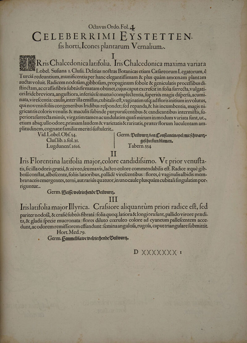 CELEBERRIMI EYSTETTEN. fis horti, Icones plantarum Vernalium.. 2 S R ris Chalcedonicalacifolia. Iris Chalcedonica maxima variata *5::65* [ obe]. Sufiana r. Clufii. Delitias noftras Botanicas etiam Ceefareorum Legatorum,e Turciá redeuntium, munificentia per hanc clegantiffimam &amp; plus quàm amoenam plantam auctasvoluit. Radicem nodofam,gibbofam, propaginum fobole &amp; geniculatis proceffibus di- fünctam,accraffisfibrisfübtüsfirmatam obunet;cujuscaputexcrefcit in folia fürrecta,vulgati- orilridebreviora,an guftiora,inferiusfe mutuó complectentia, fü perius magis difpería,acumi- . nata,virefcentia:caulisinterilla emiffus,cubitalis eft; vaginatim ufq;adflorisinitium involutus, quinovenisfoliis congeneribus Iridibus refpondet; fed repanda;&amp; his incumbentia, magis ni- gricantiscoloris venulis &amp; maculis fubinde purpurafcentibus &amp; candicantibus intermiftis, fu- periorafurrecta minus, virgaüm tamenacundulatim quafimirumin modum variata fünt;ut, etiam absq;ulloodore;primam laudem &amp; varietatis &amp; raritatis, praterflorum luculentam am- plitudinem, cognate famili merito füftulerit.. i Vid.Lobel. Obf'54. | Germ.9Deiftourtsóon C onftancinopel/mic(cDivartge Cluf'lib.2.fol.2r. aefchbecfcen blumert, | Lugdunenf.1616. | Tabern.534. Ius Florentina lacifolia major,colore candidifsimo. Vt prior venufta- tis, ficillaodorisgratid, &amp; niveo,.feu mavis, lacteo colore commendabilis eft. Radice qué gib- bofáconftat;albefcente, foliis latioribus, pallidé virefcentibus : flores, e vaginulisalbidis mem- branaceisemergentes,terni,autrariüs quatuor,in unocaule plusquám cubitalifingulatim por- rguntur.. Germ.$$ciffc tooltiechense Deiltourts. III jo: lácifolia majorlllyrica. Crafsiore aliquantum priori radice eft, fed pariter nodofa, &amp; crafséfubtüs fibratá :foliaquoq;latiora &amp;longiora funt, pallido virore praedi- ta, &amp; gladii fpecie mucronata: flores diluto cocruleo colore ad cyaneum pallefcentem accc- dunt,acodoremremiffiorem effundunt: feminaangulofa,rugofa, caputtriangulare fübmitüt. Hort. Med.79. ... Germ.fimmelb(atoc toofriecenoe 2Deiltourts, D JO0000€X 1