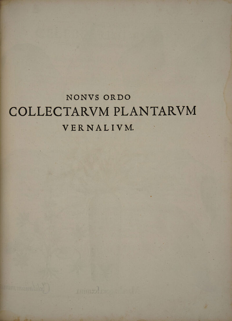 NONVS ORDO | COLLECTARVM PLANTARVM VERNALIVM.