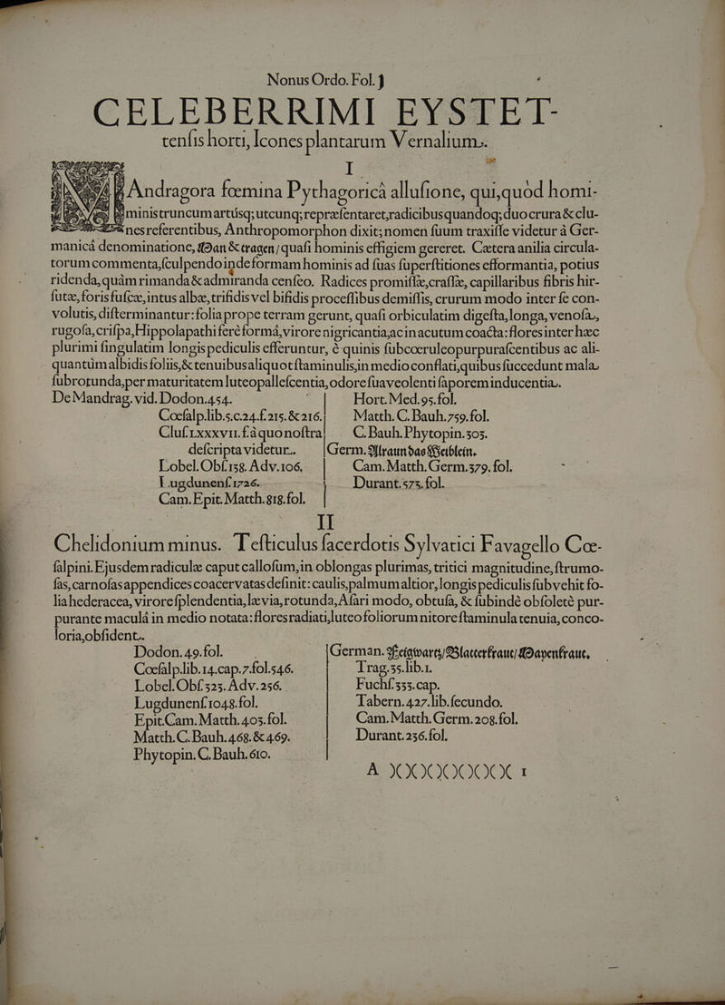 CELEBERRIMI EYSTEIT- cenfis hora, Icones plantarum Vernalium.. NC 7i á Andragora foemina Pythagoricá allufione, quiquod homi l3 - d ex ea «A EA (^ AN A Bministruncumartisq; utcunq; reprzfentaret;radicibusquandoq; duo crura &amp; clu- 85-275 nesreferentibus, Anthropomorphon dixit; nomen fuum traxiffe videtur à Ger- manicá denominatione, ff9an &amp; tragen; quafi hominis effigiem gereret. Caetera anilia circula- torumcommenta/culpendoindeformam hominis ad fuas fuperftitiones efformantia, potius ridenda, quàm rimanda &amp;admiranda cenfeo. Radices promiflze,craffze, capillaribus fibris hir- futze, forisfufce, intus albze,trifidis vel bifidis proceffibus demiflis, crurum modo inter fe con- volutis, difterminantur:folia prope terram gerunt, quafi orbiculatim digefta,longa, venofa., rugofa,crifpaHippolapathi feréformá,virore nigricantia;acin acutum coacta:floresinter hzc plurimi fingulatim longispediculis efferuntur, à quinis fübcoeruleopurpurafcentibus ac ali- quantumalbidis folus,&amp; cenuibusaliquotftaminulisiin medio conflatiquibus fuccedunt mala. fubrotunda;per maturitatem luteopallefcentia,odorefüaveolenti faporeminducentia.. De Mandrag. vid. Dodon.454.- | Hort. Med.95.fol. | Cocfalp.lib.s.c.24.£ 215. &amp; 2d Matth. C. Bauh. 759.fol. Clufrxxxvirfàquonoftra; . C.Bauh.Phytopin.sos. defcripta videtur.. | Germ.9((raumn$ao SfSetbleirt. LobelObfí:s&amp; Adv.1o6. | | Cam.Matth.Germ.s79. fol. : Lugdunenf 1726. |. Durant.szs.fol. Cam.Epit.Matth.srgfol. | : ! II | Chelidonium minus. T efticulus facerdotis Sylvatici Favagello Co- falpini. Eussdemradiculz caput callofum,in oblongas plurimas, tritici magnitudine, ftrumo- fas, carnofasappendices coacervatas definit: caulispalmumaltüor, longis pediculis füb vehit fo- liahederacea, virorefplendenta, la via, rotunda, Afari modo, obtufa, &amp; fubinde obfoleté pur- purante maculá in medio notata:floresradiatilutcofoliorumnitore ftaminula tenuia, conco- loriayobfident.. Dodon.49fol ^ . | |German.2&amp;cigtvarey Statterfraux RO apenfraut, S PAAR VÁBBNA | m I. Lobel.Obf 325. Adv.256. uchí.555.cap. | Lugdunenf'1048.fol. | labern.427.lib.fecundo. Epit.Cam. Matth. 405.fol. | Cam. Matth. Germ.208.fol. Matth. C. Bauh. 468. &amp; 4.69. Durant.256.fol. Phytopin. C. Bauh.óro. |